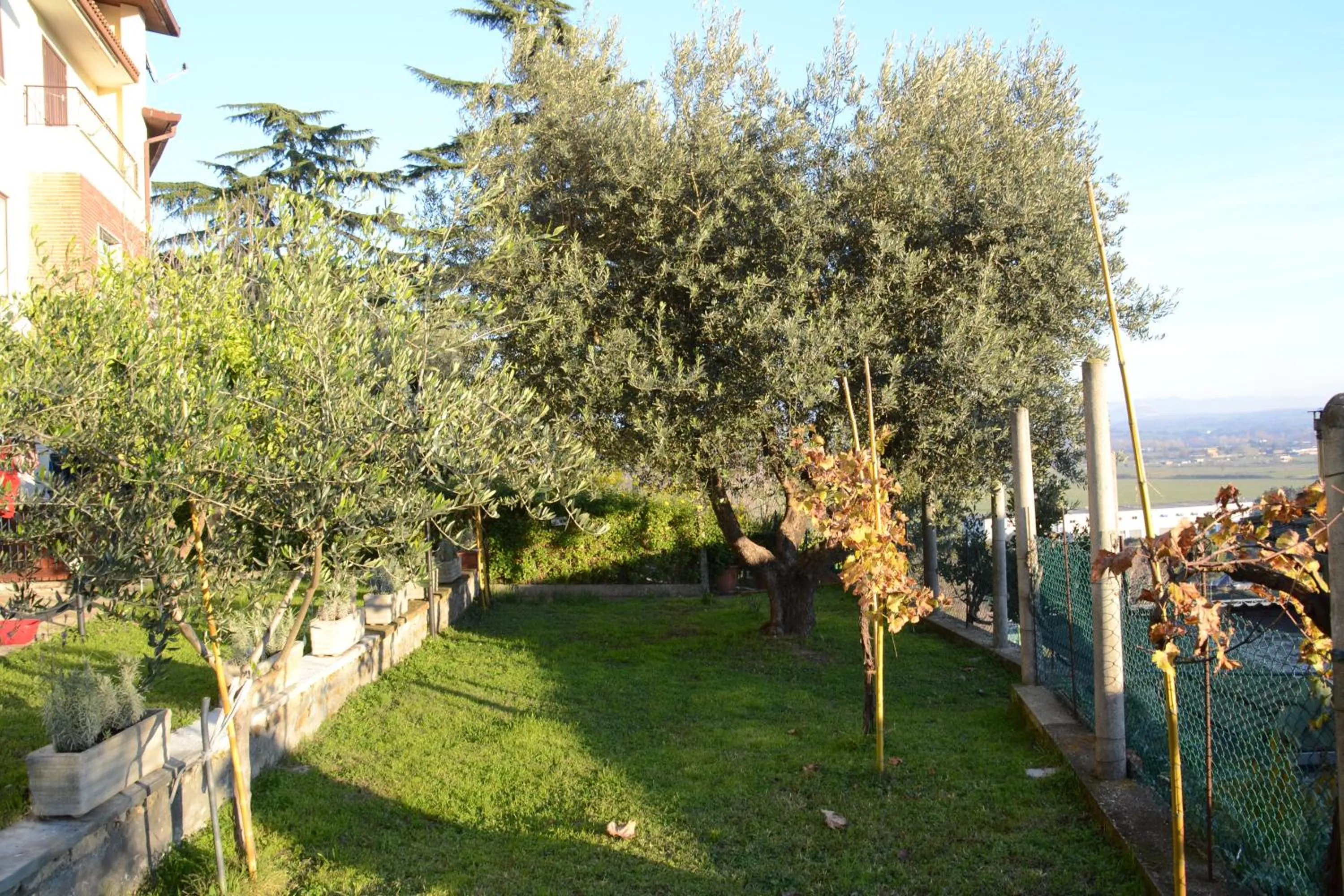 Garden in A1 Girasole B&B