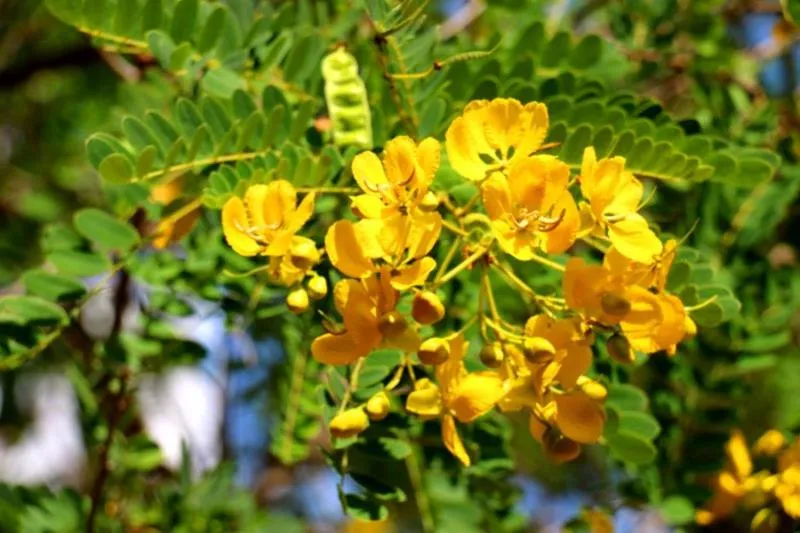 Property building in Lavish Eco Jungle