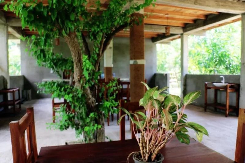 Restaurant/places to eat in Lavish Eco Jungle