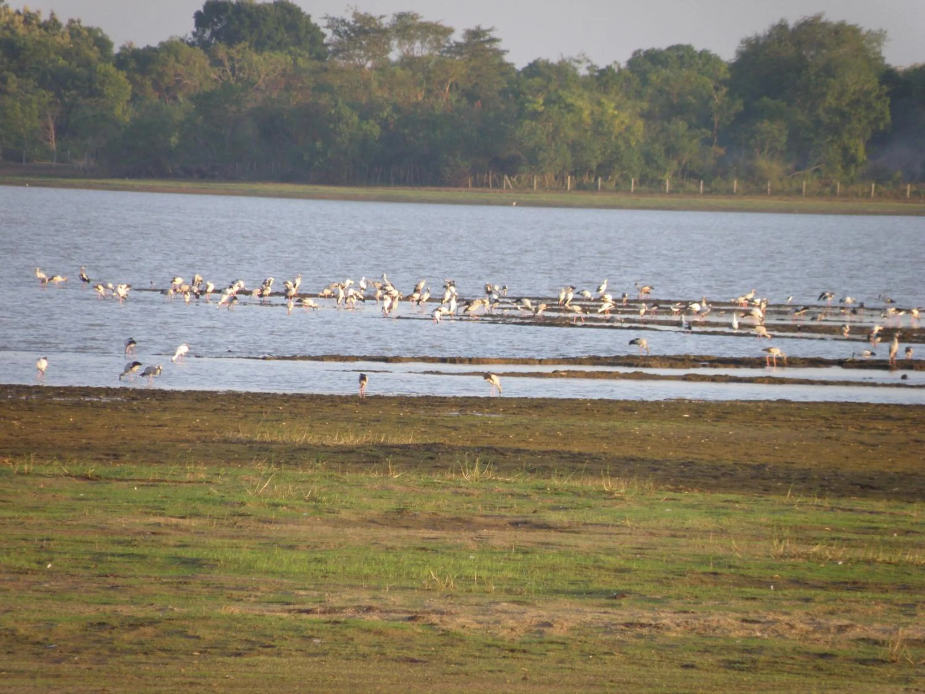 Nearby landmark in Lavish Eco Jungle