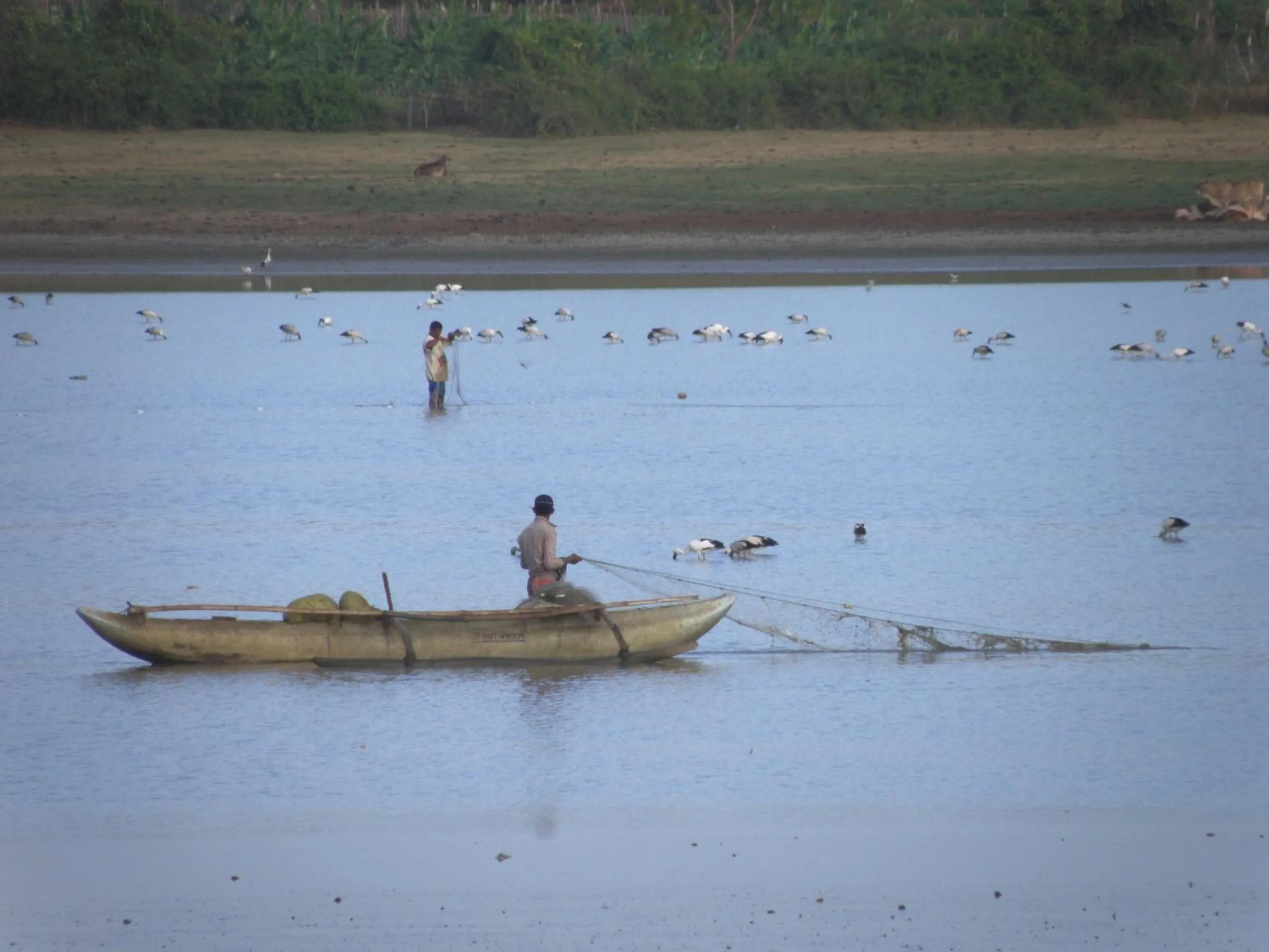 Fishing in Lavish Eco Jungle