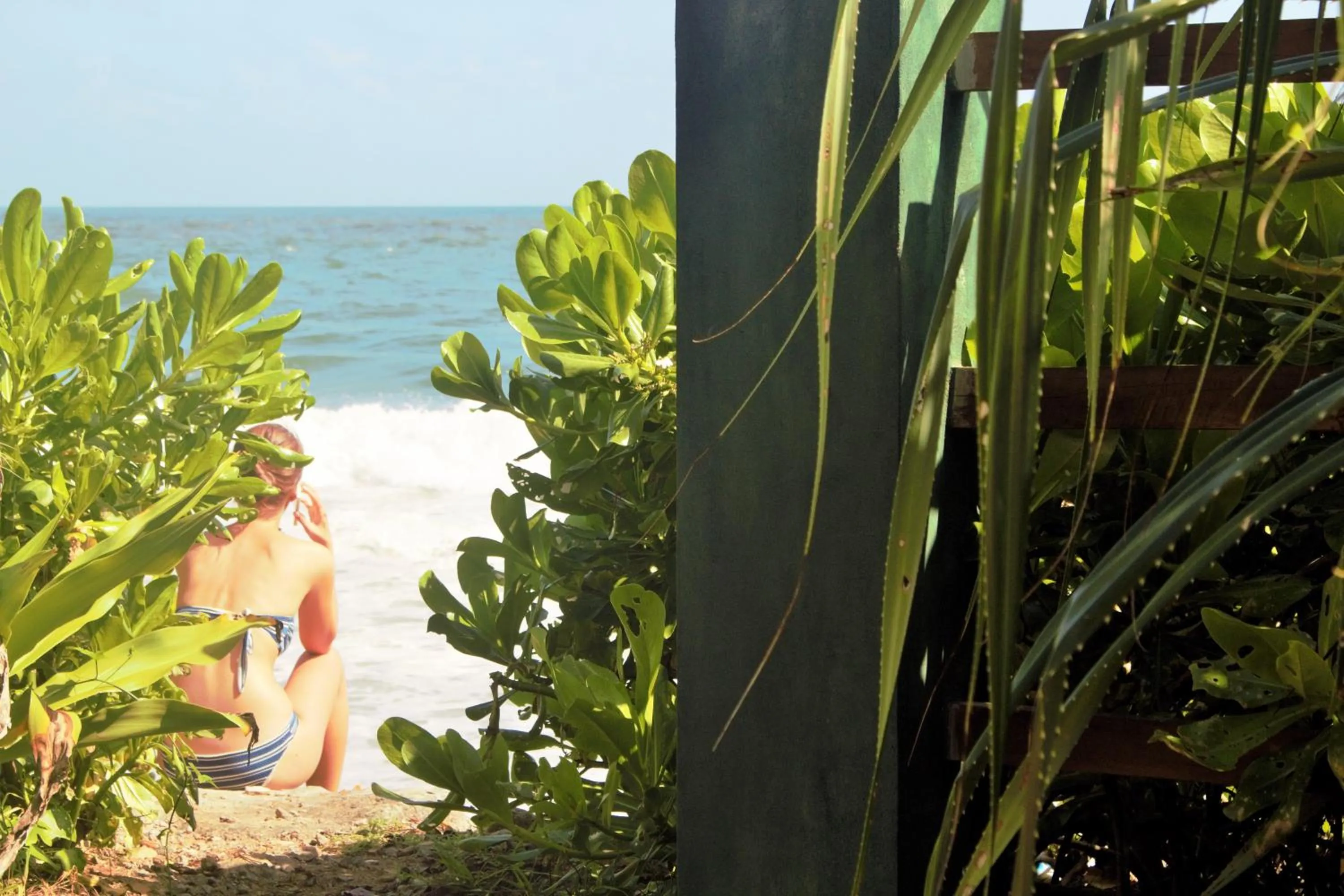 Sea view in Asiri Yoga Retreat