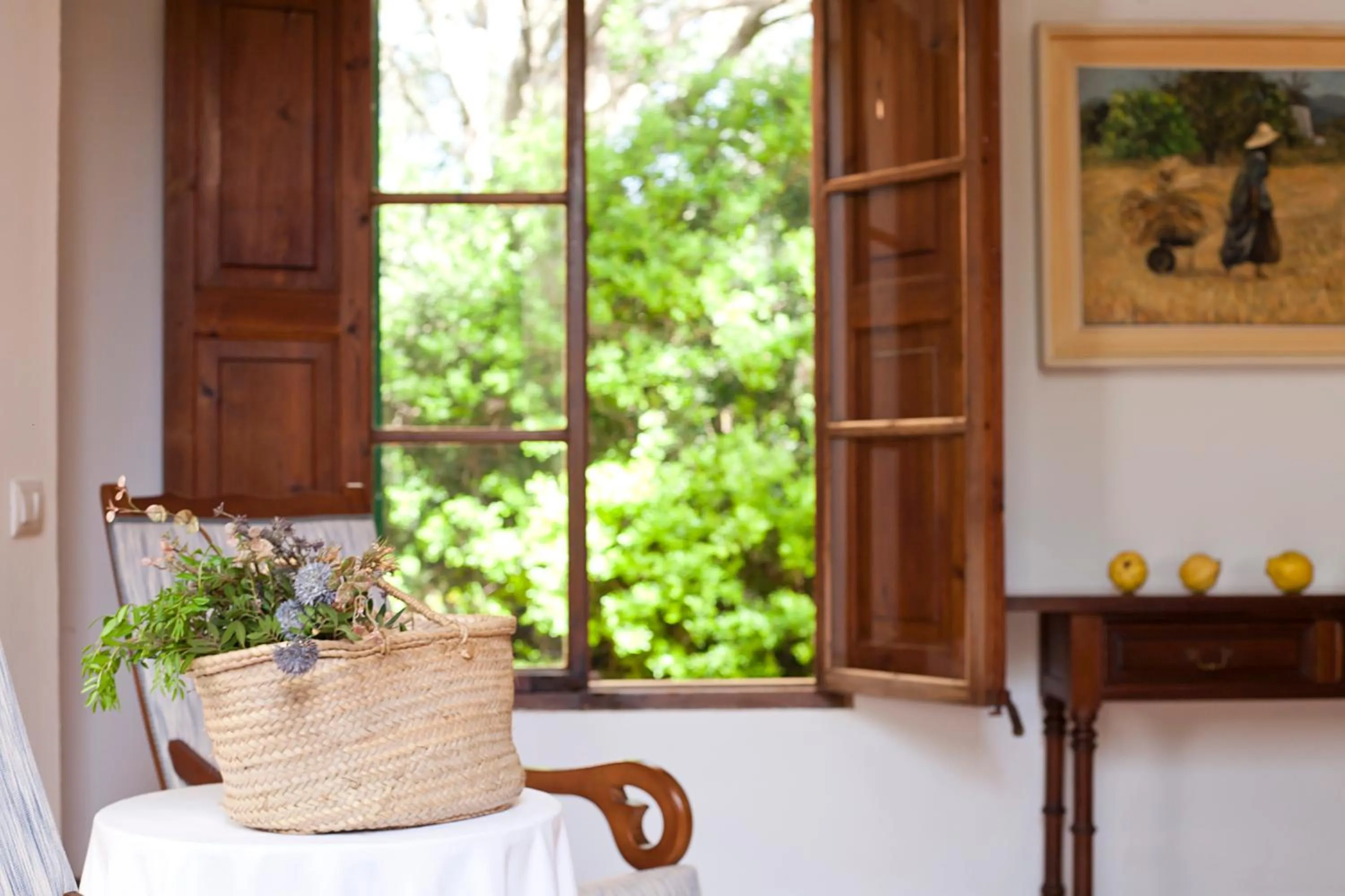 Garden view in Agroturisme Ca'n Gaia