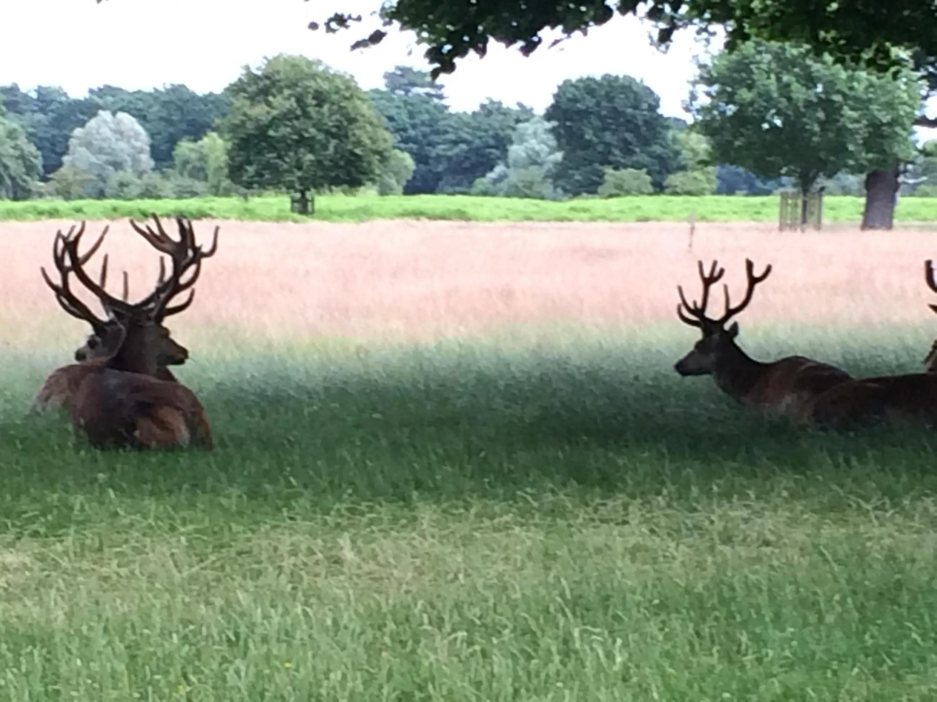 Landmark view in Old Station Gardens, SW London