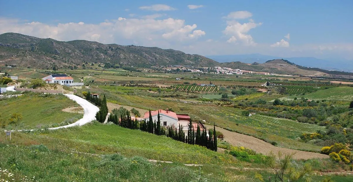 Area and facilities in Bed & Breakfast Finca de los Sueños