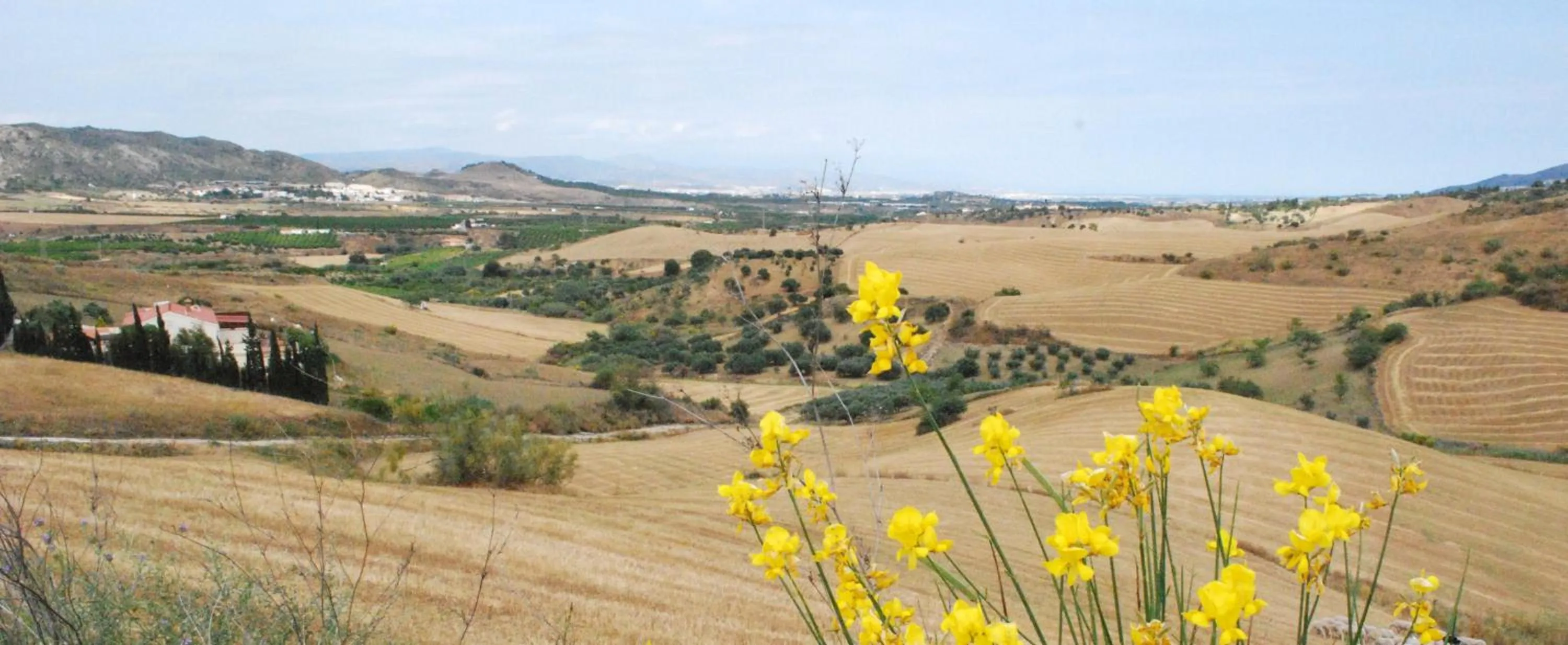 Area and facilities in Bed & Breakfast Finca de los Sueños