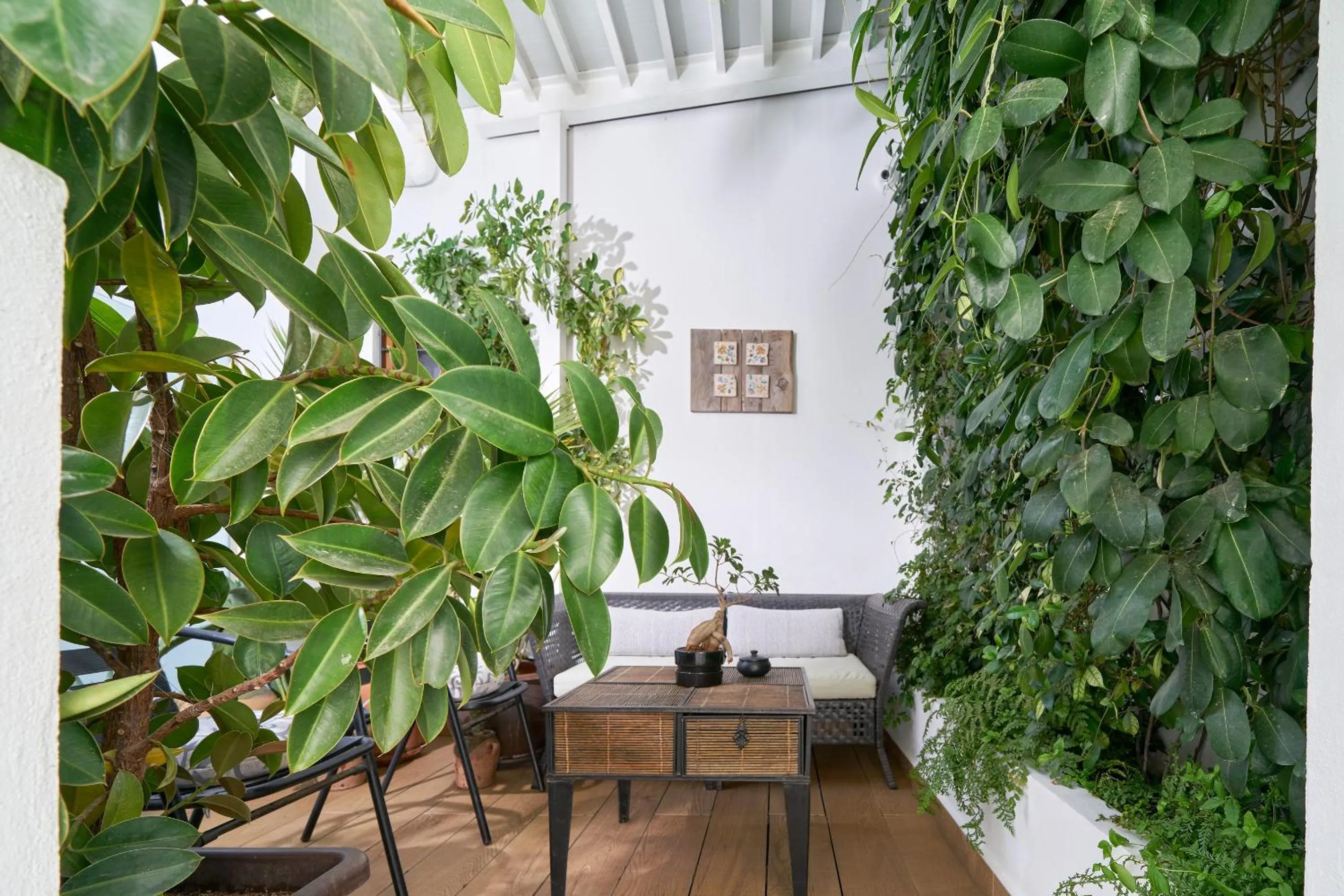 Balcony/Terrace in Barracart Apartments