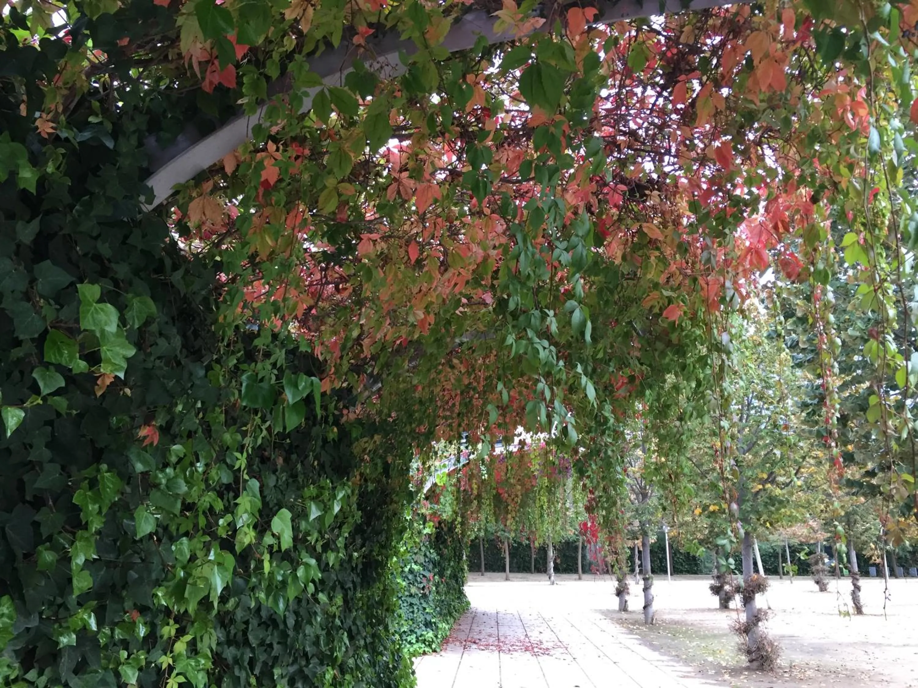 Nearby landmark in Dalí Residence