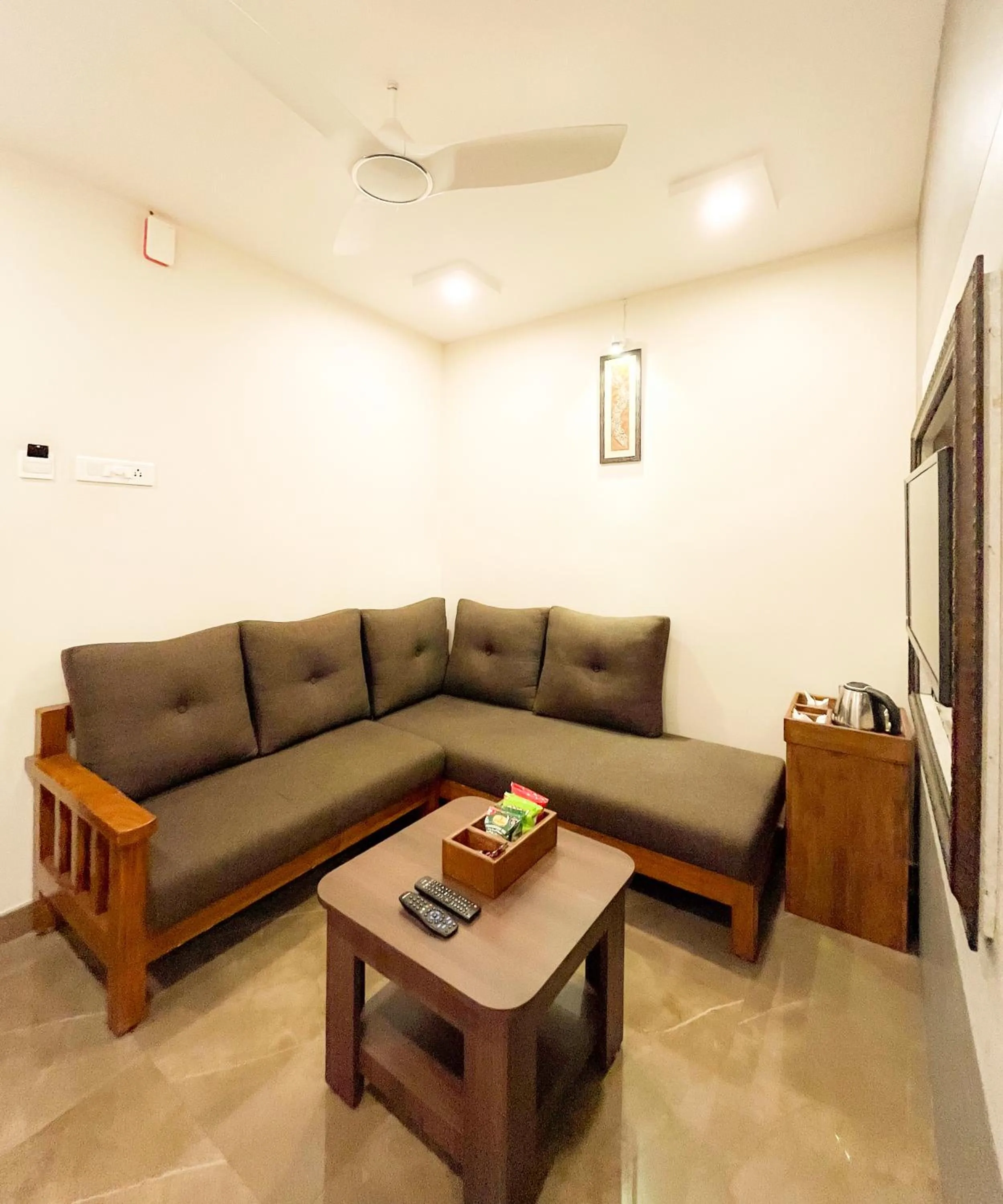 TV and multimedia in Shree Residency