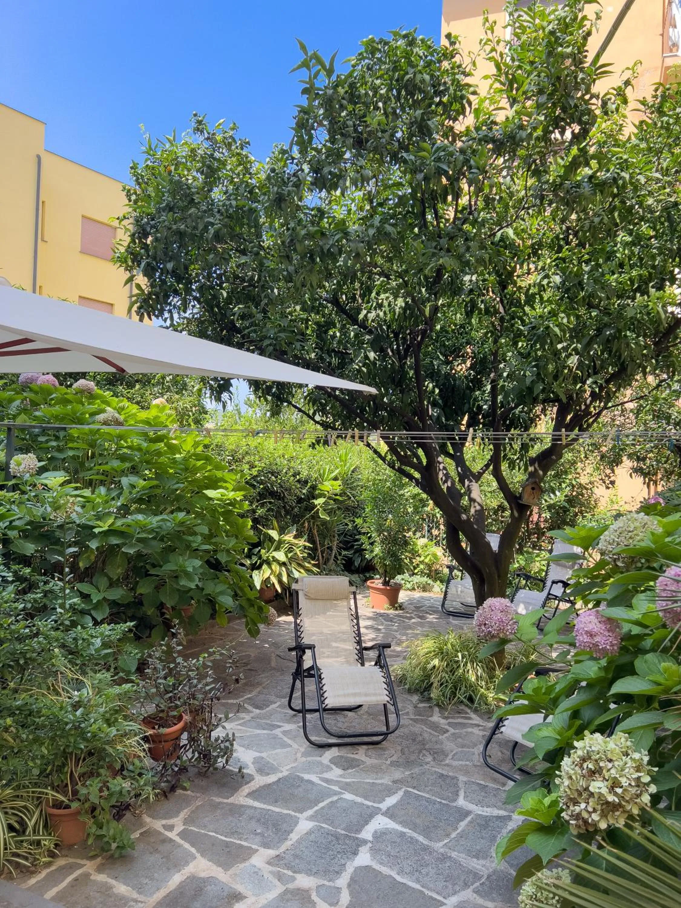 Garden in Casa Mary Levanto
