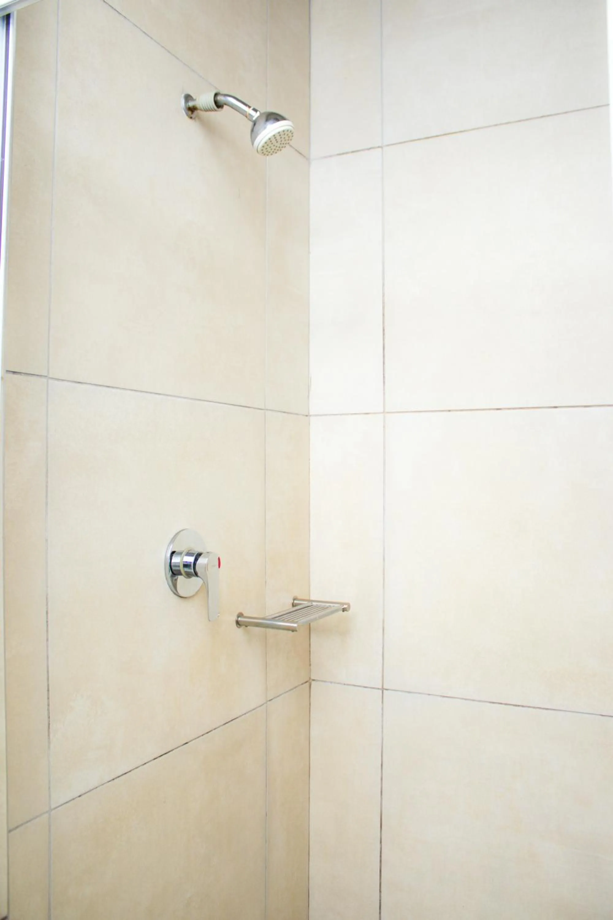 Shower in Beechwood B&B