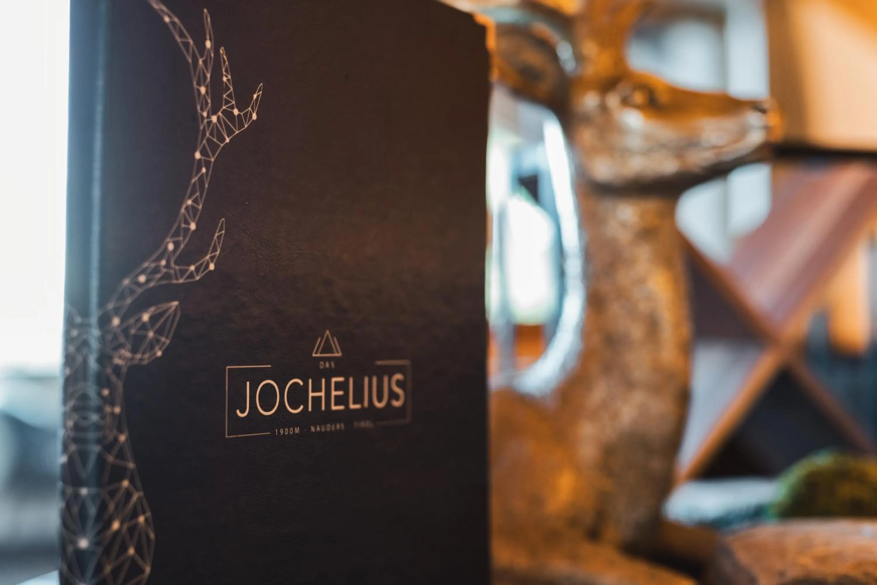 Bergresort Das Jochelius Ski-in & Ski-out