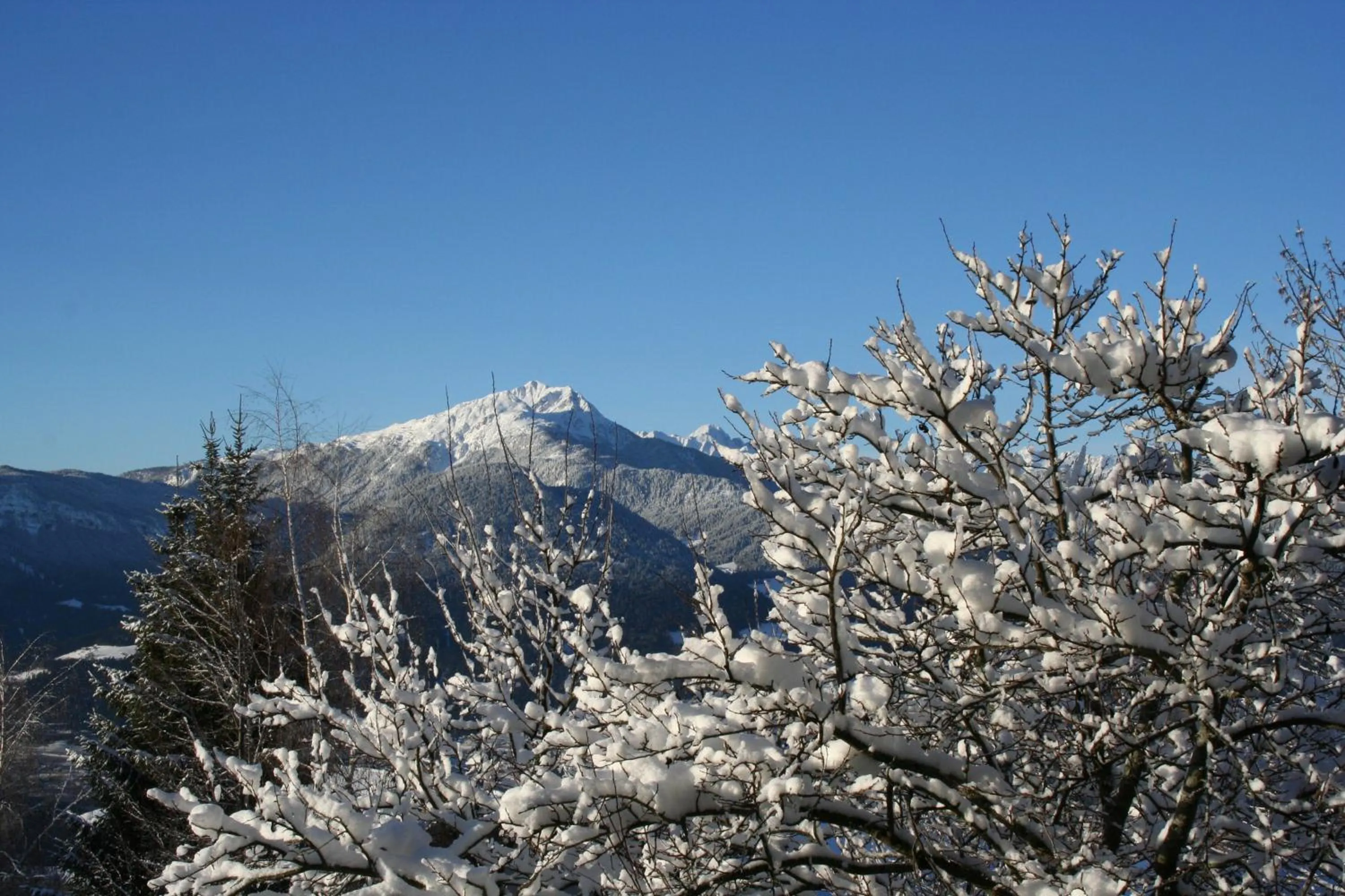 Mountain view in Hotel Oberwirt