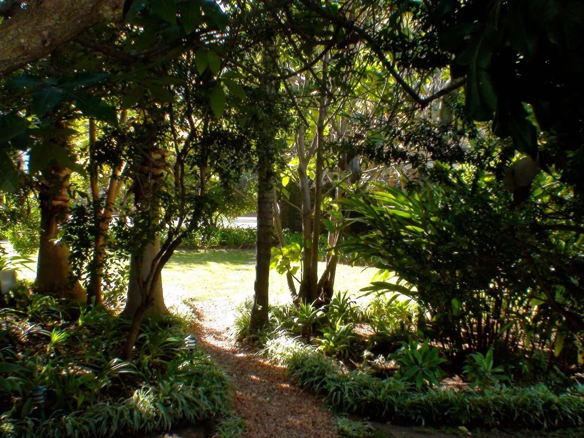 Garden in Polokwane Place