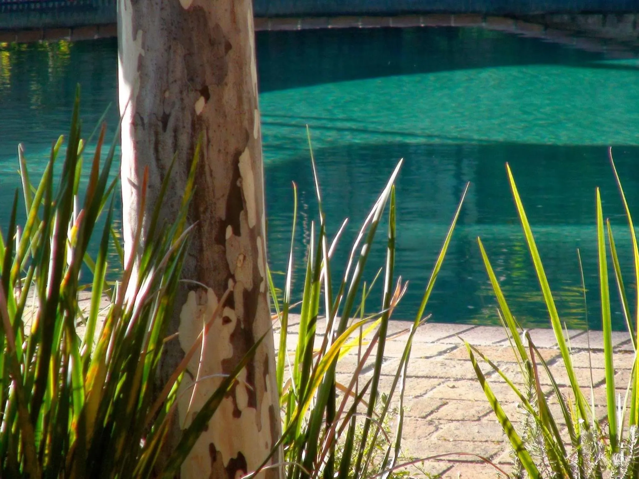 Swimming pool in Polokwane Place