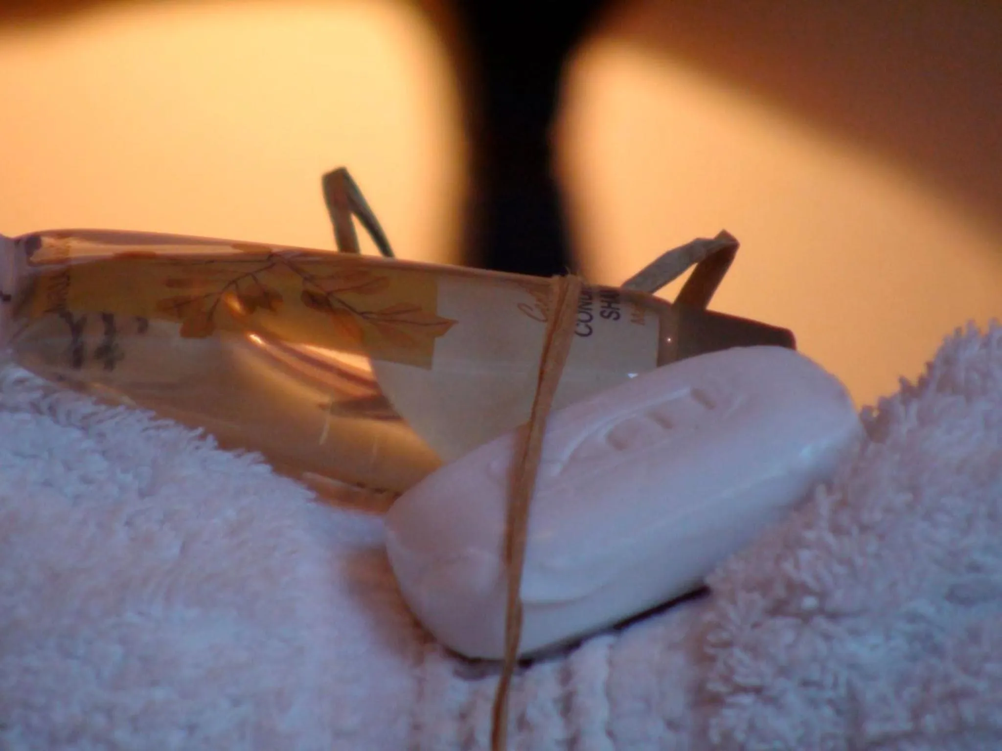 Decorative detail in Polokwane Place