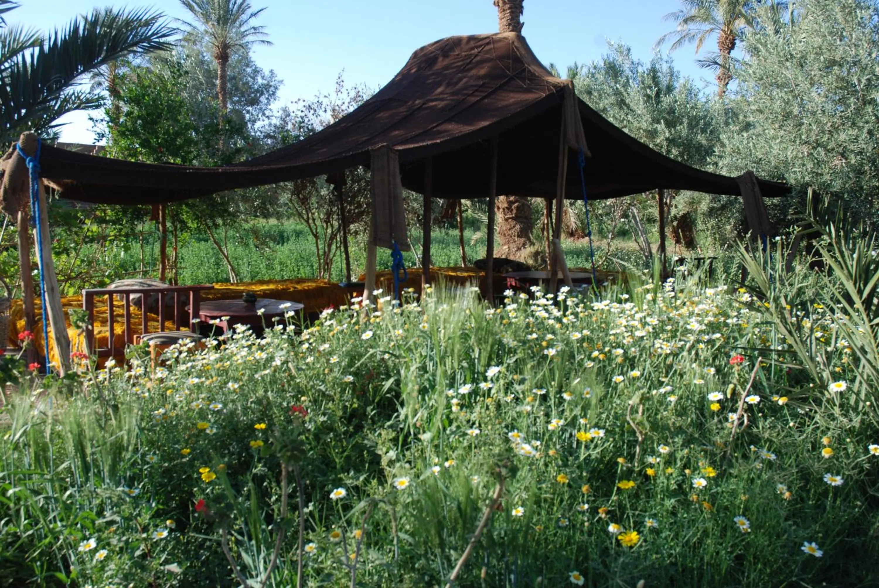 Property building in d'hôte Jnane-Dar Diafa