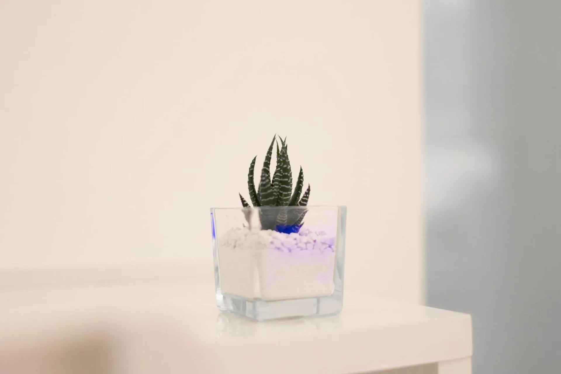 Vittorio Veneto Matera Luxury Rooms