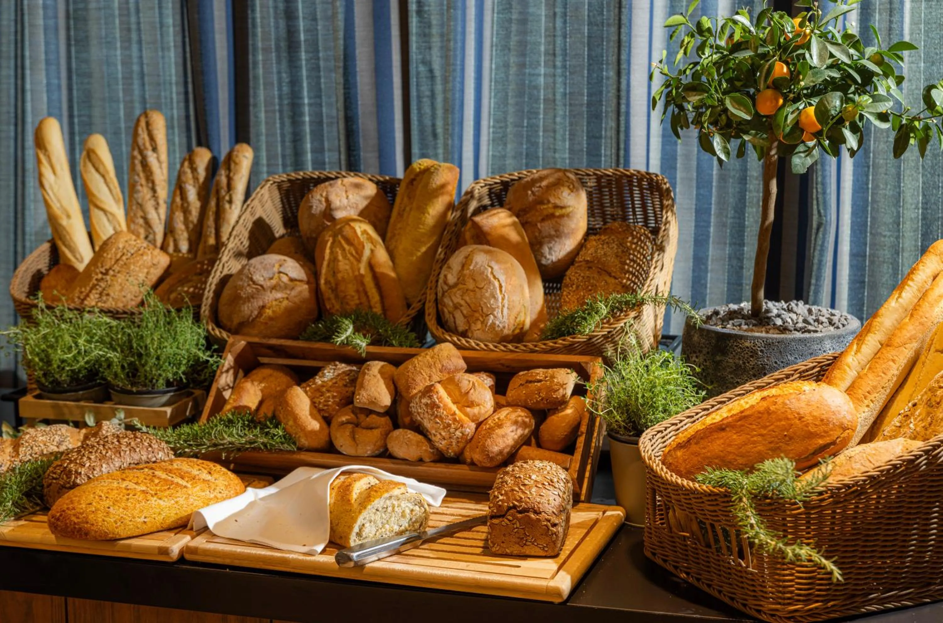 Restaurant/places to eat in Family Hotel Pagus - All Inclusive