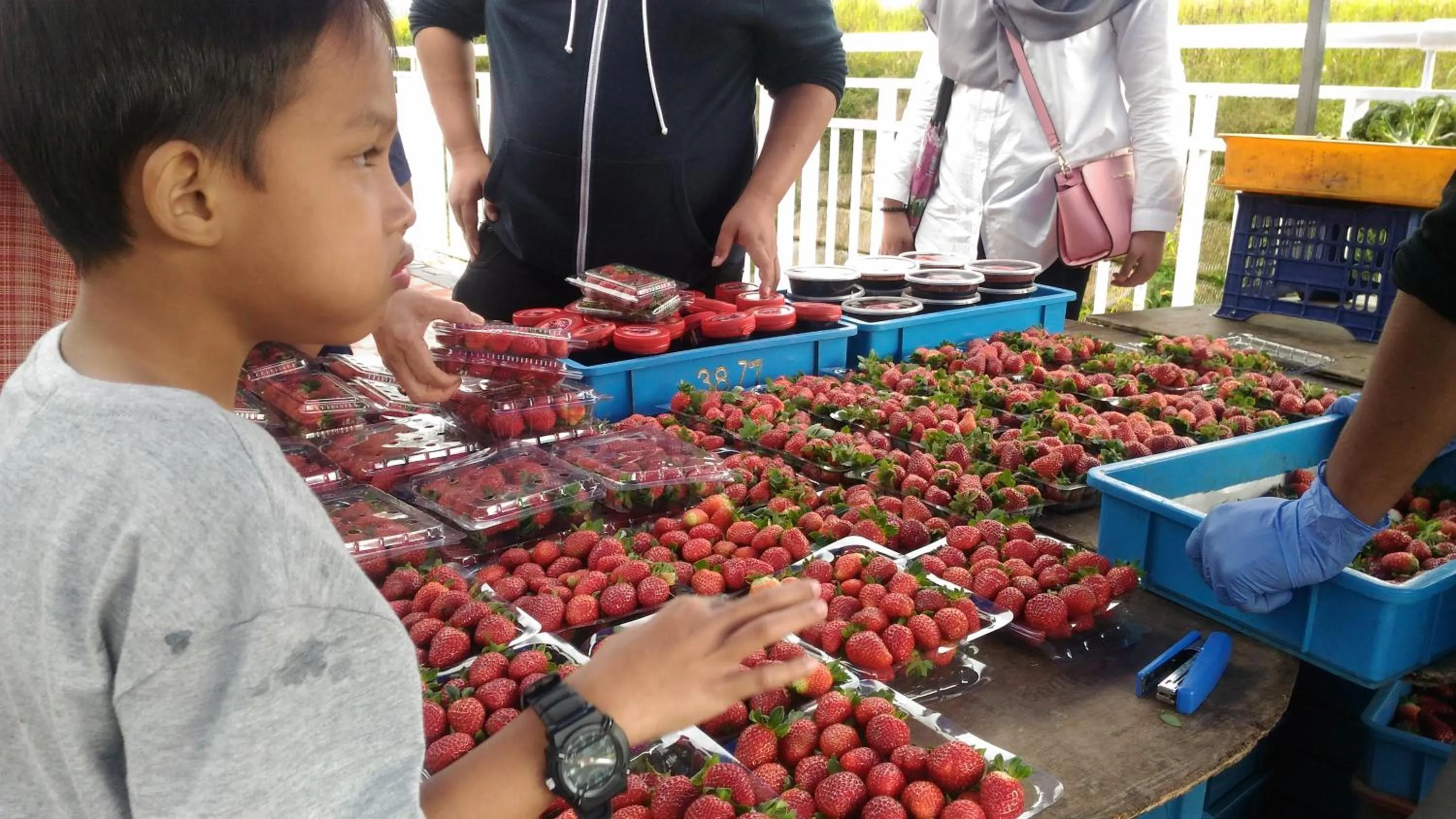 Entertainment in DreamScape Apartment @ Golden Hill