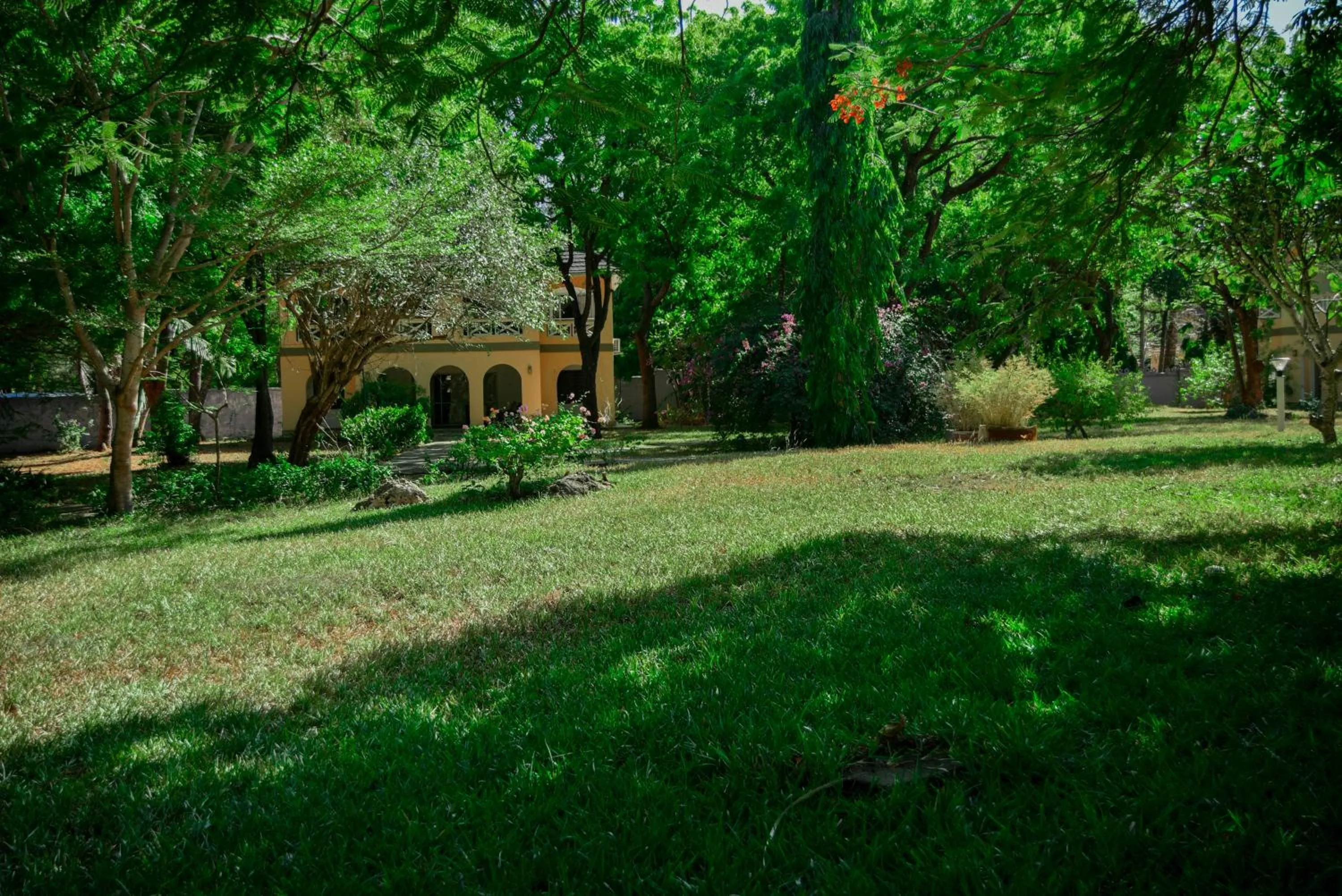 Garden in Coral Beach Resort