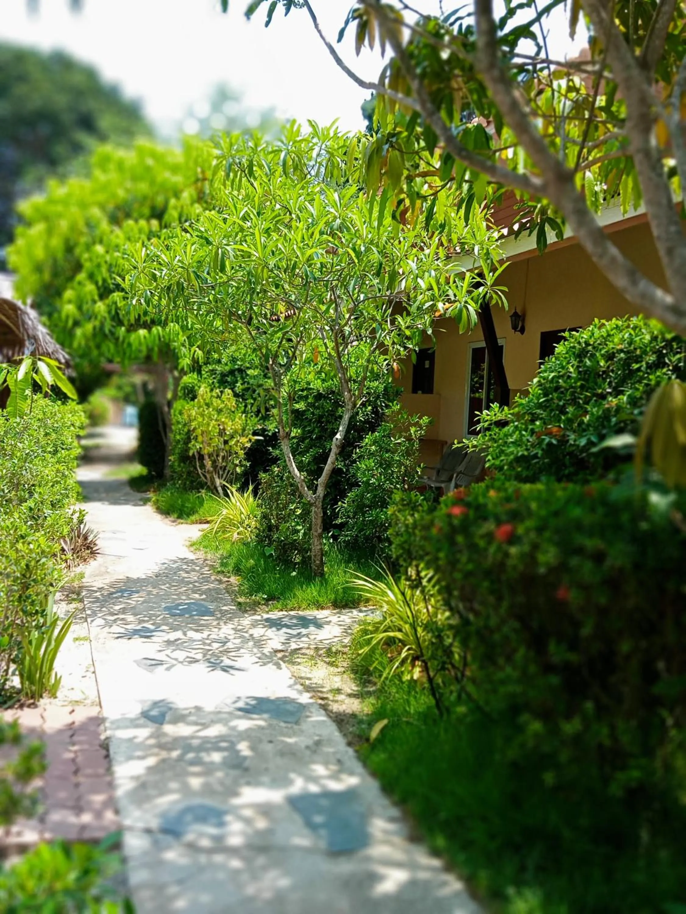 New Andaman Bay Bungalow