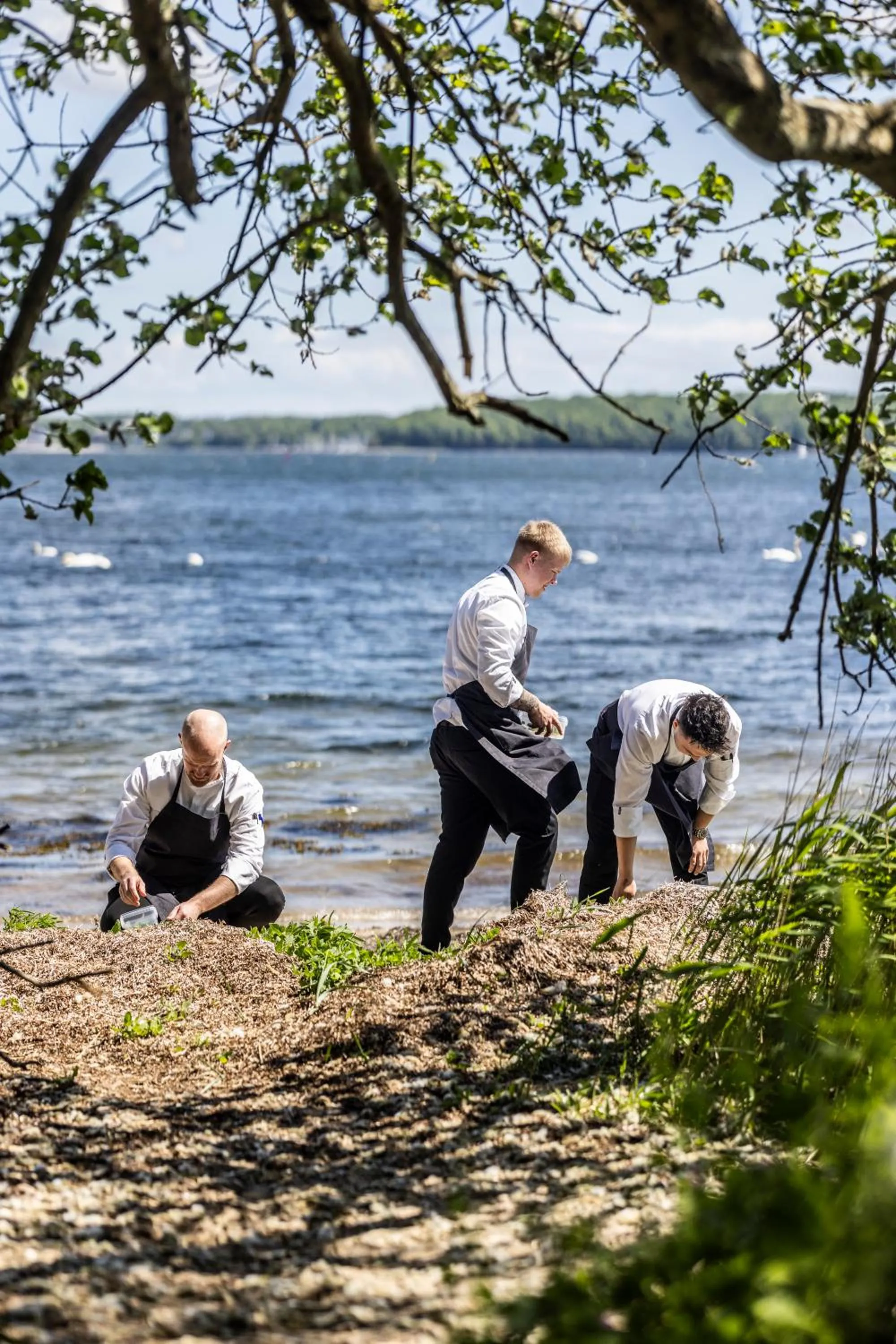 Fakkelgaarden Hotel & Restaurant