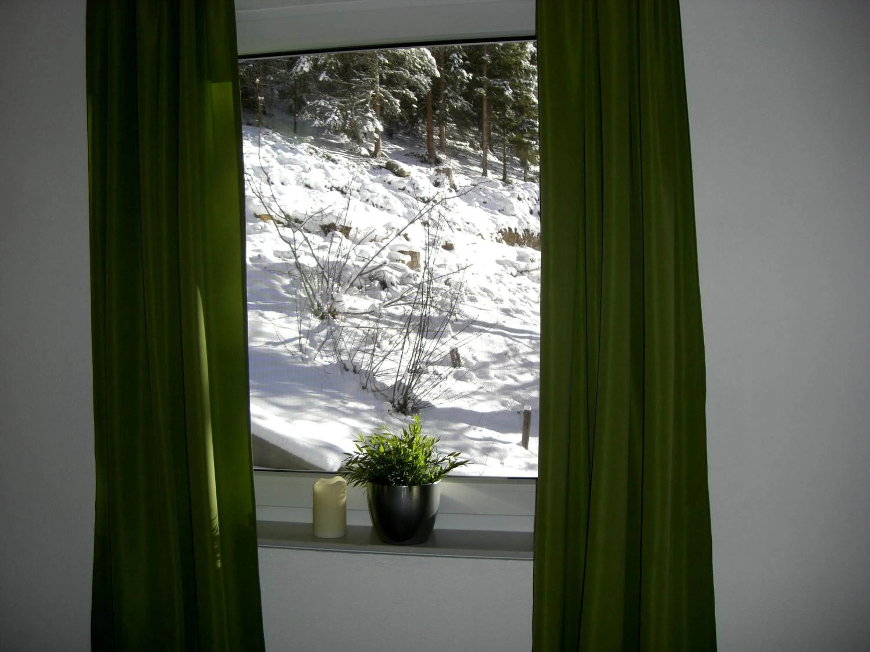 Alpine Appartement