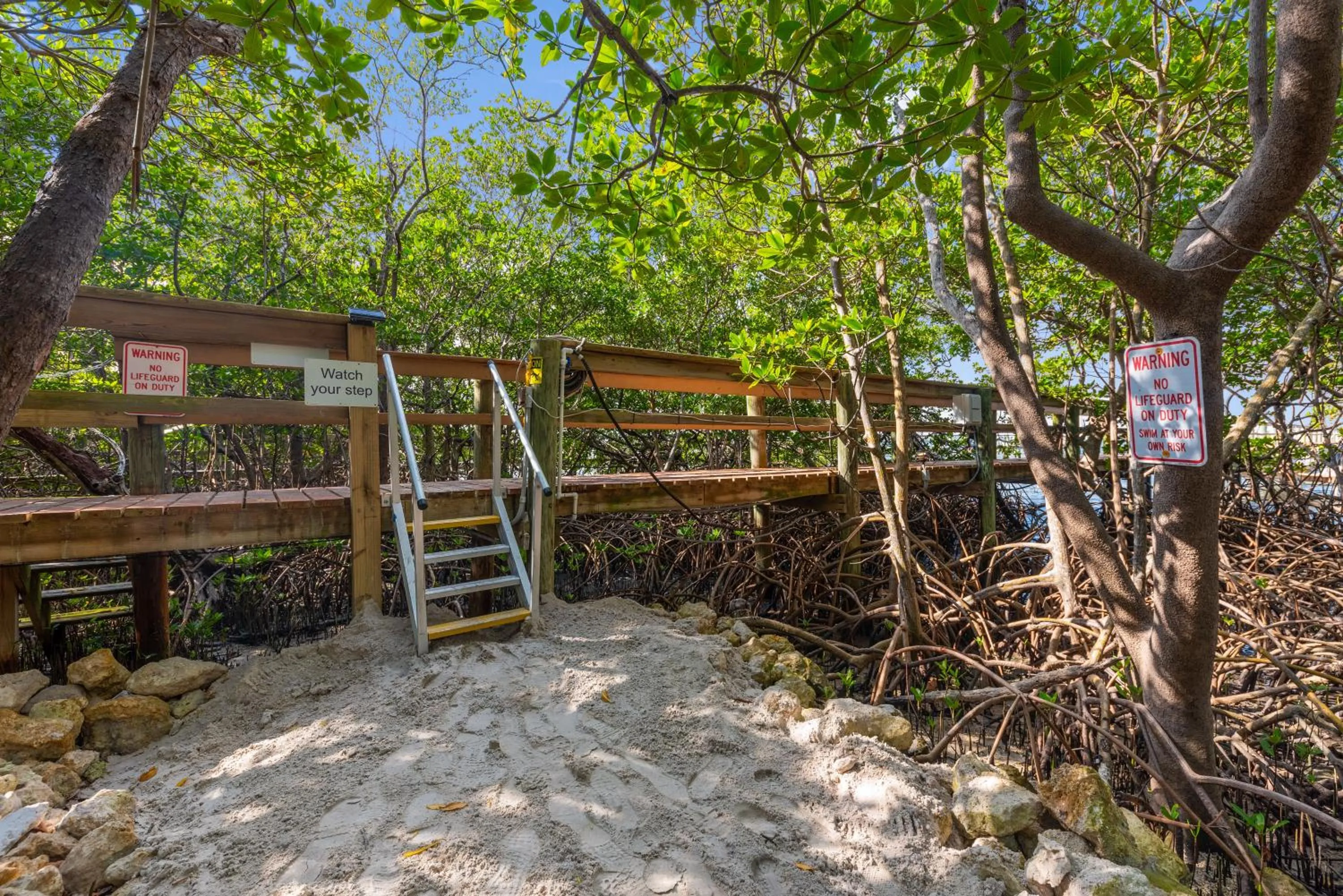 Day in La Dolce Vita