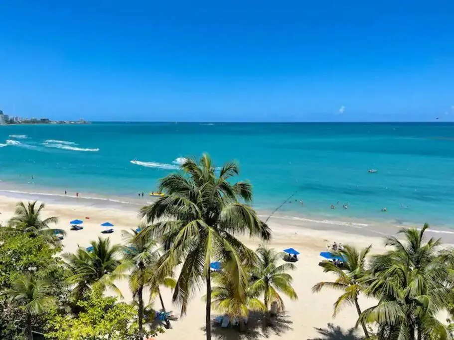 Natural landscape in OCEAN VIEW DELUXE SUITE: PVT. BEACH & POOL