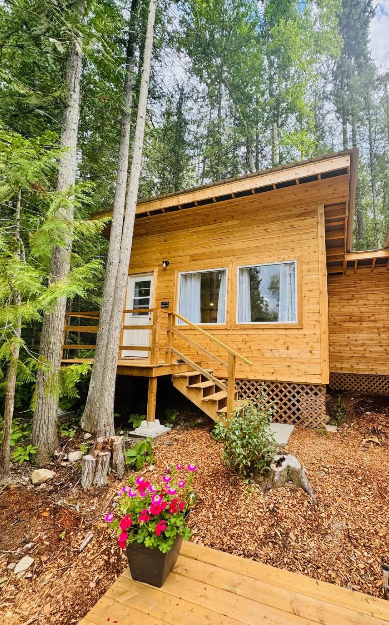 Cedar Haven Cabins and Resort