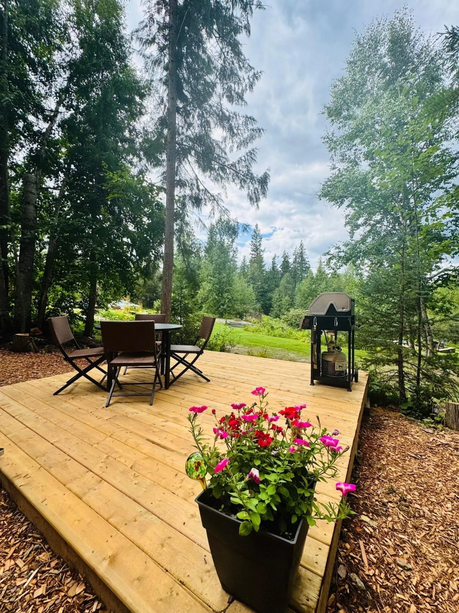 Cedar Haven Cabins and Resort