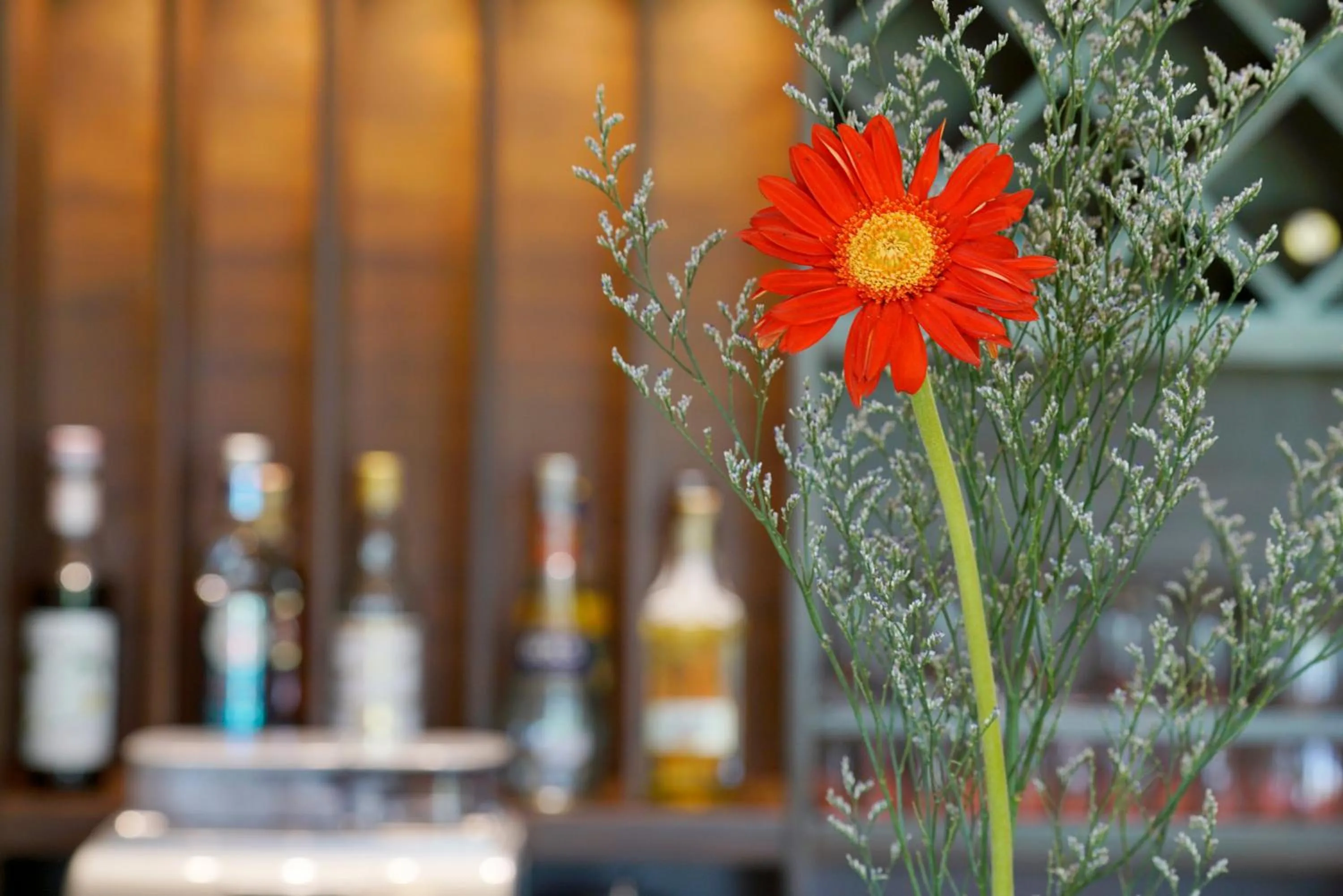 Restaurant/places to eat in Hoi An Field Boutique Resort & Spa