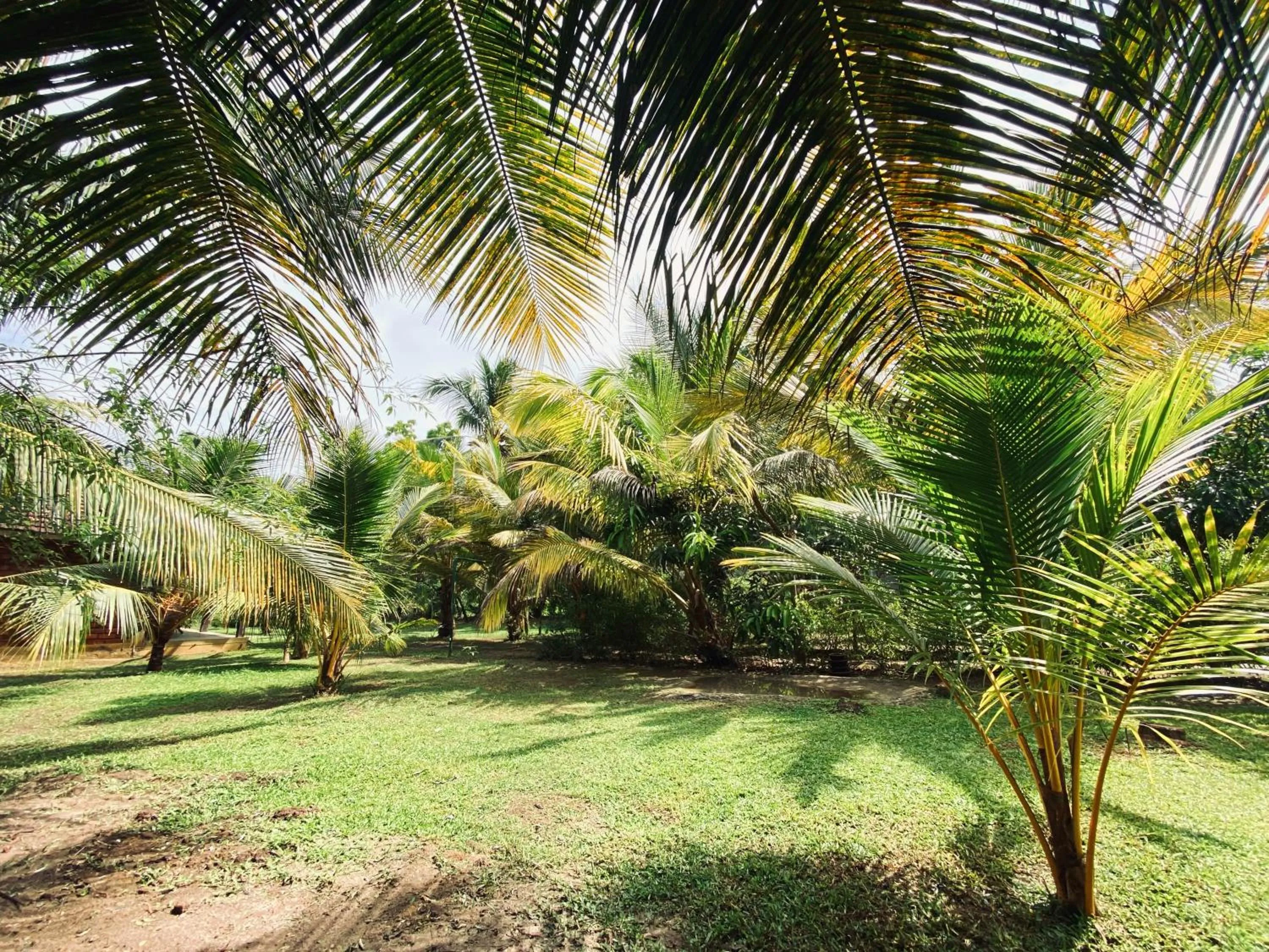 Neem Jay Beach Resort