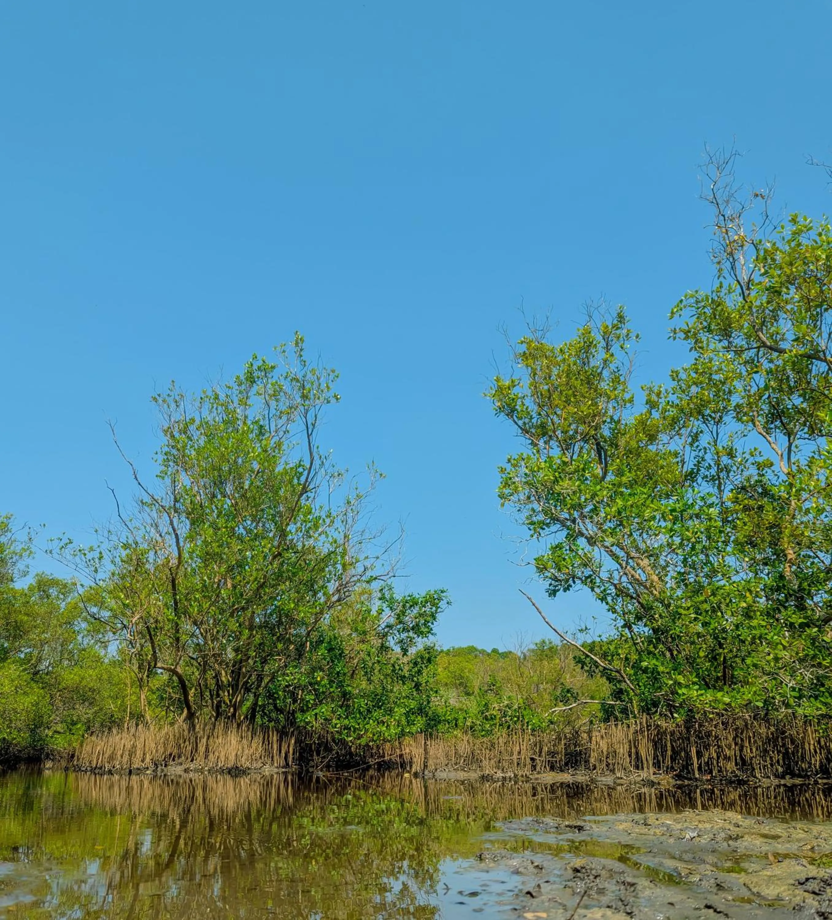 Lake view in Neem Jay Beach Resort