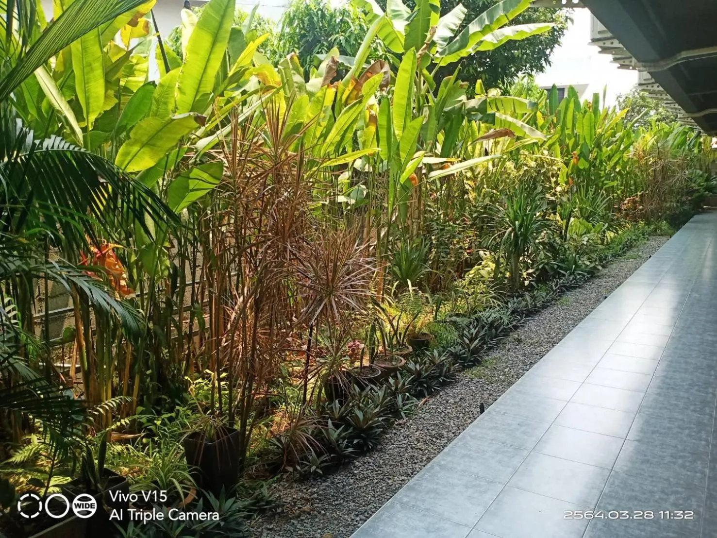 Garden in Anantaya Home