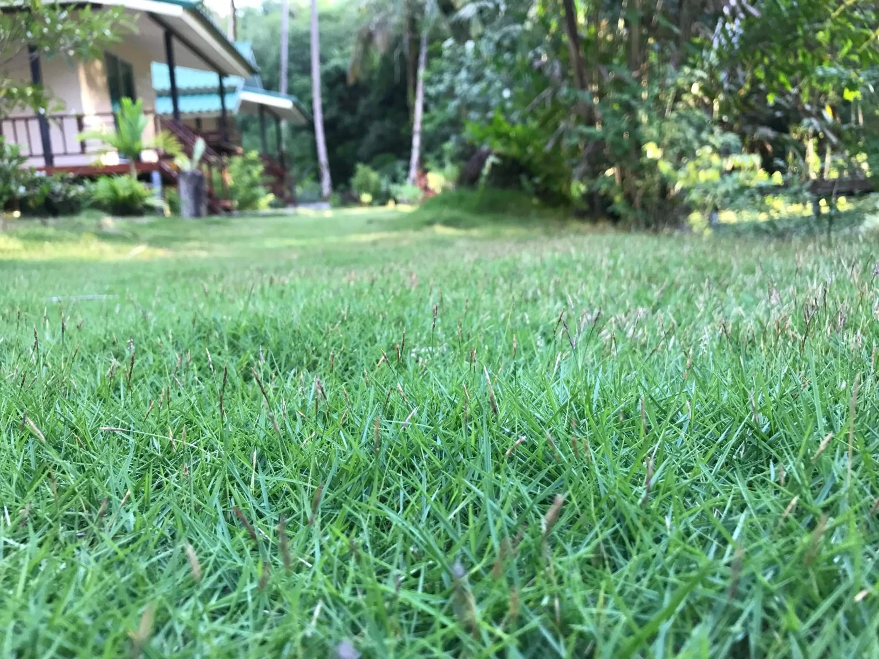 Other in Baan Phuean Koh Kood