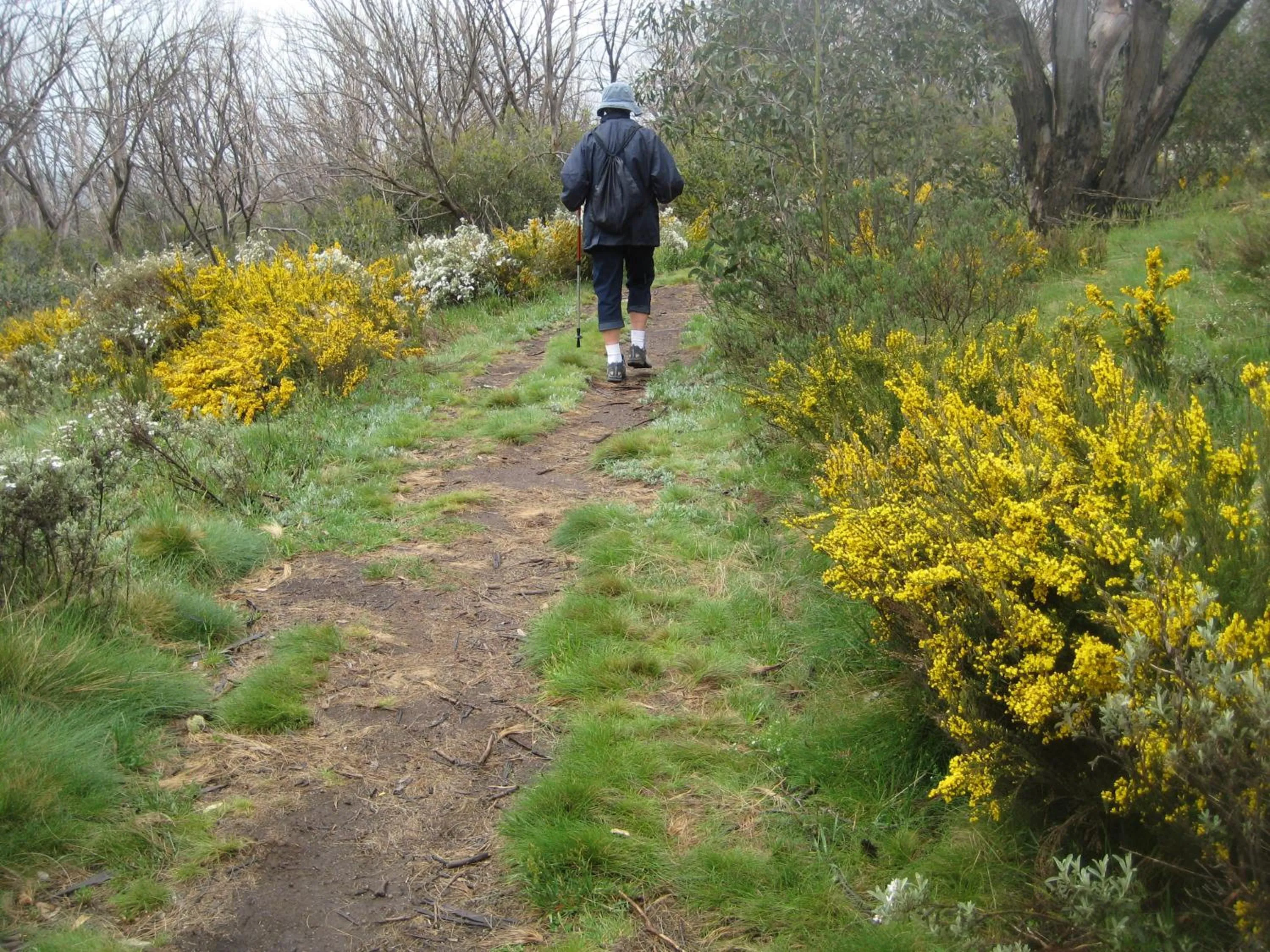 Kosciusko Tourist Park