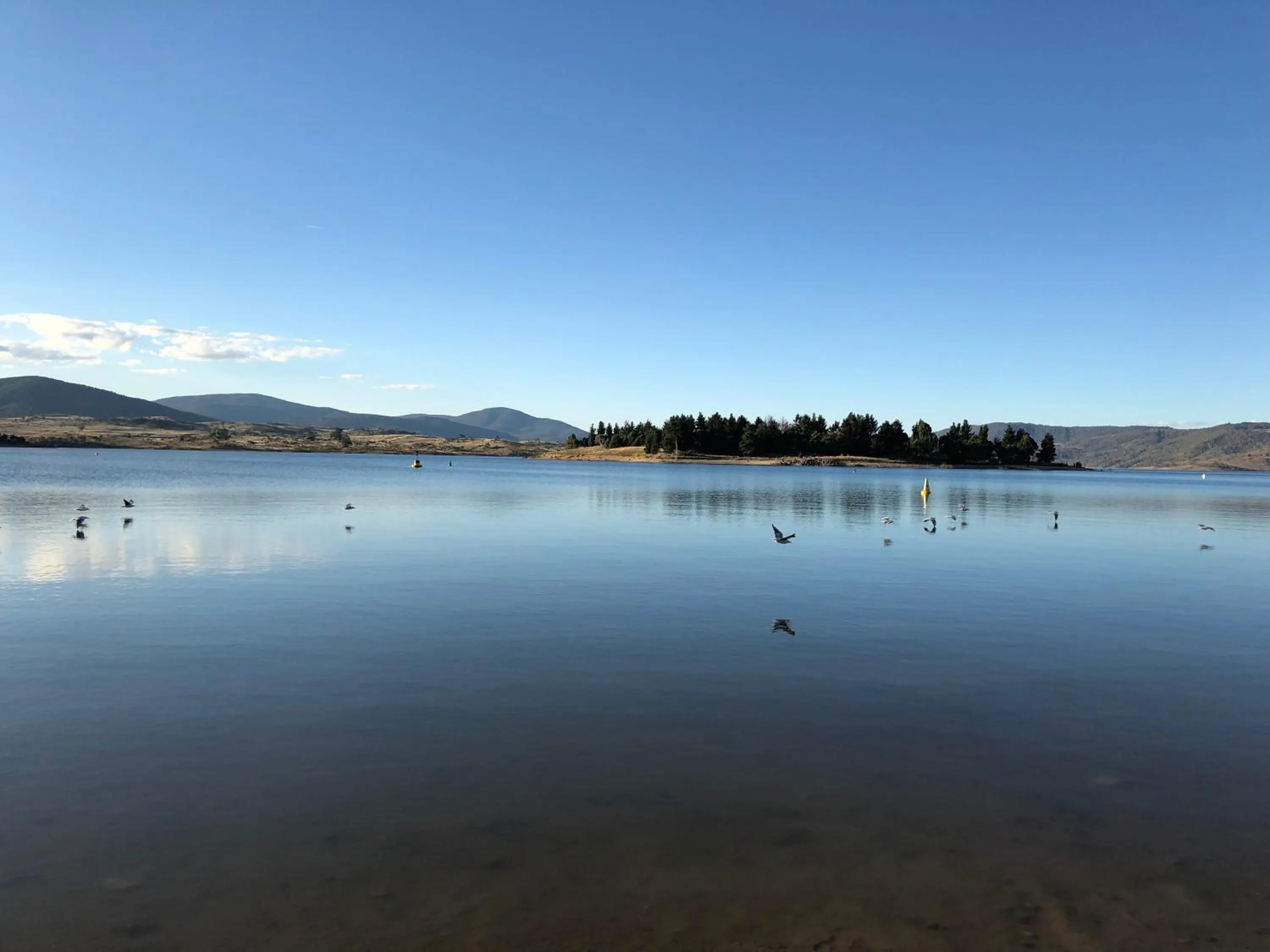 Kosciusko Tourist Park