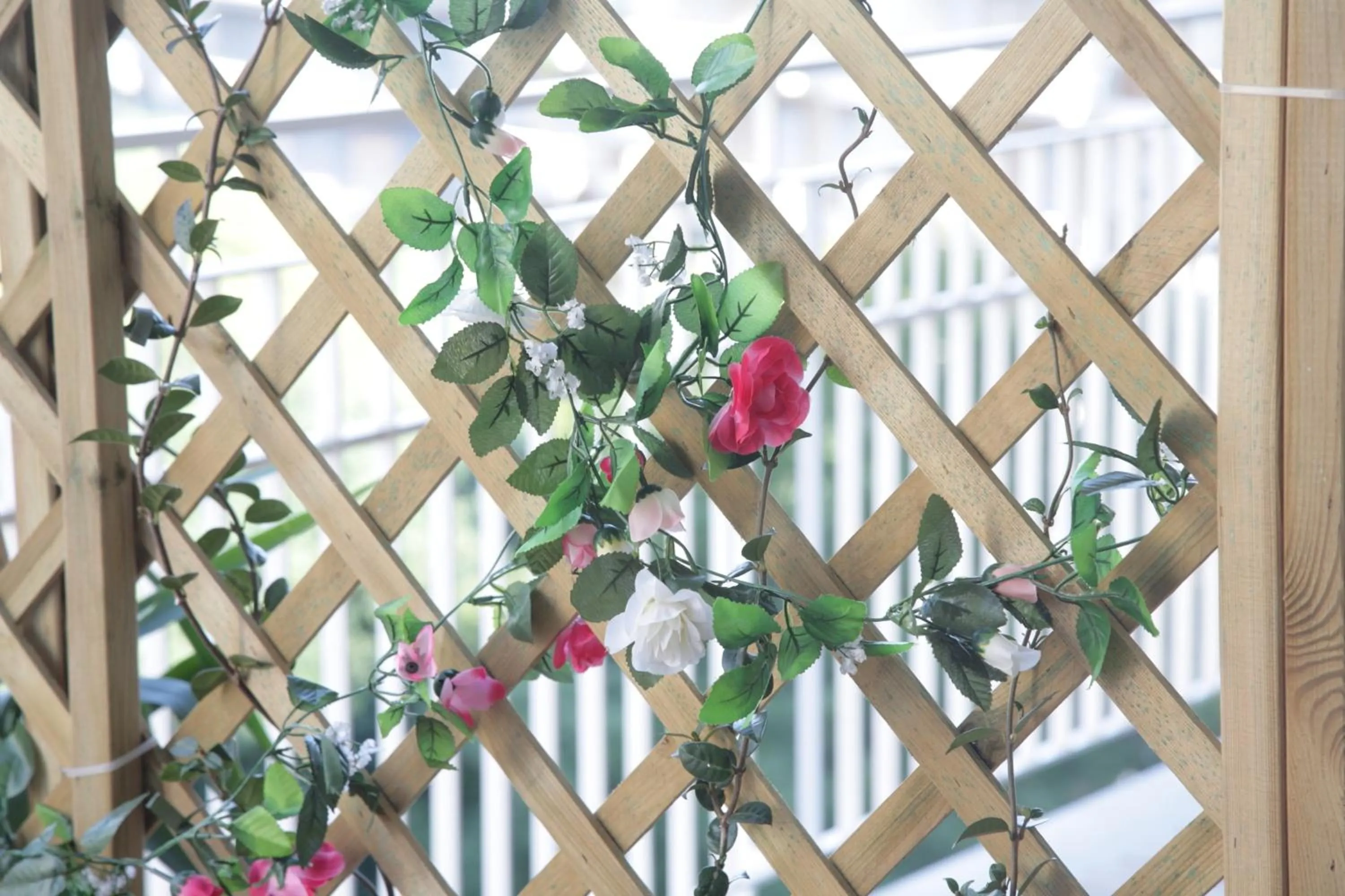 Spring in Etna Sea House