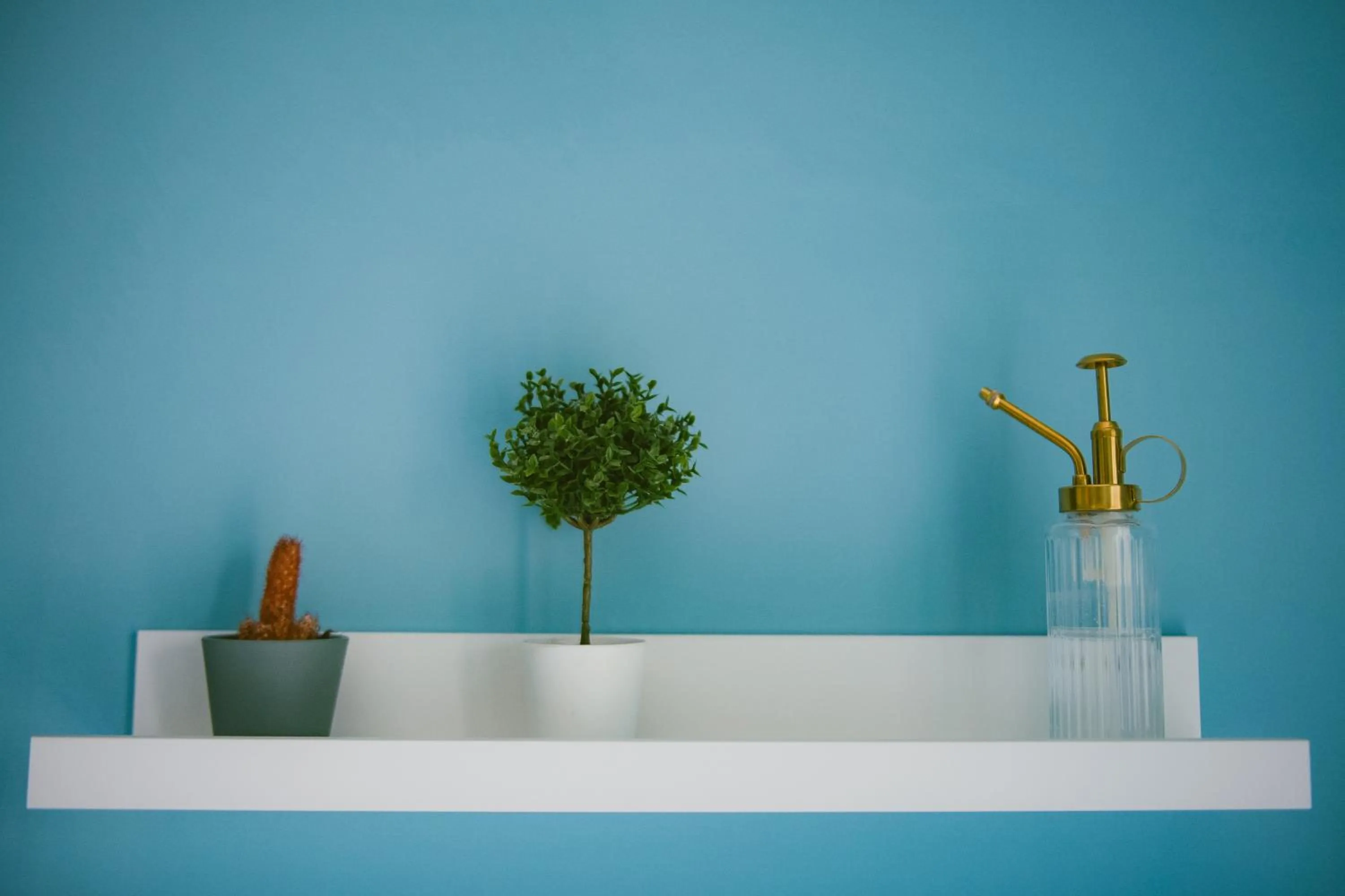 Decorative detail in B&B Boteroom