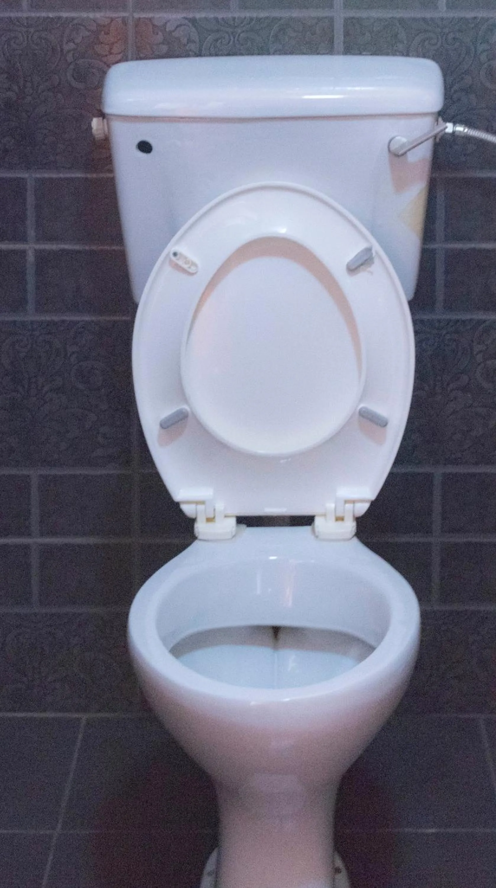 Toilet in Olina Hotel and Apartments Kampala