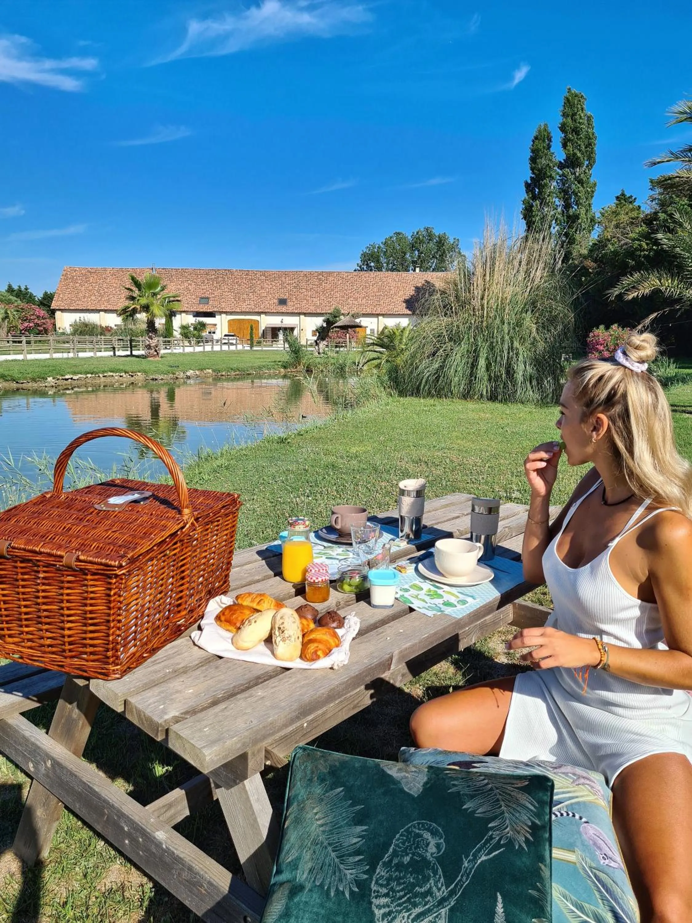 Natural landscape in Abri Cosy - Suite Romantique en Camargue