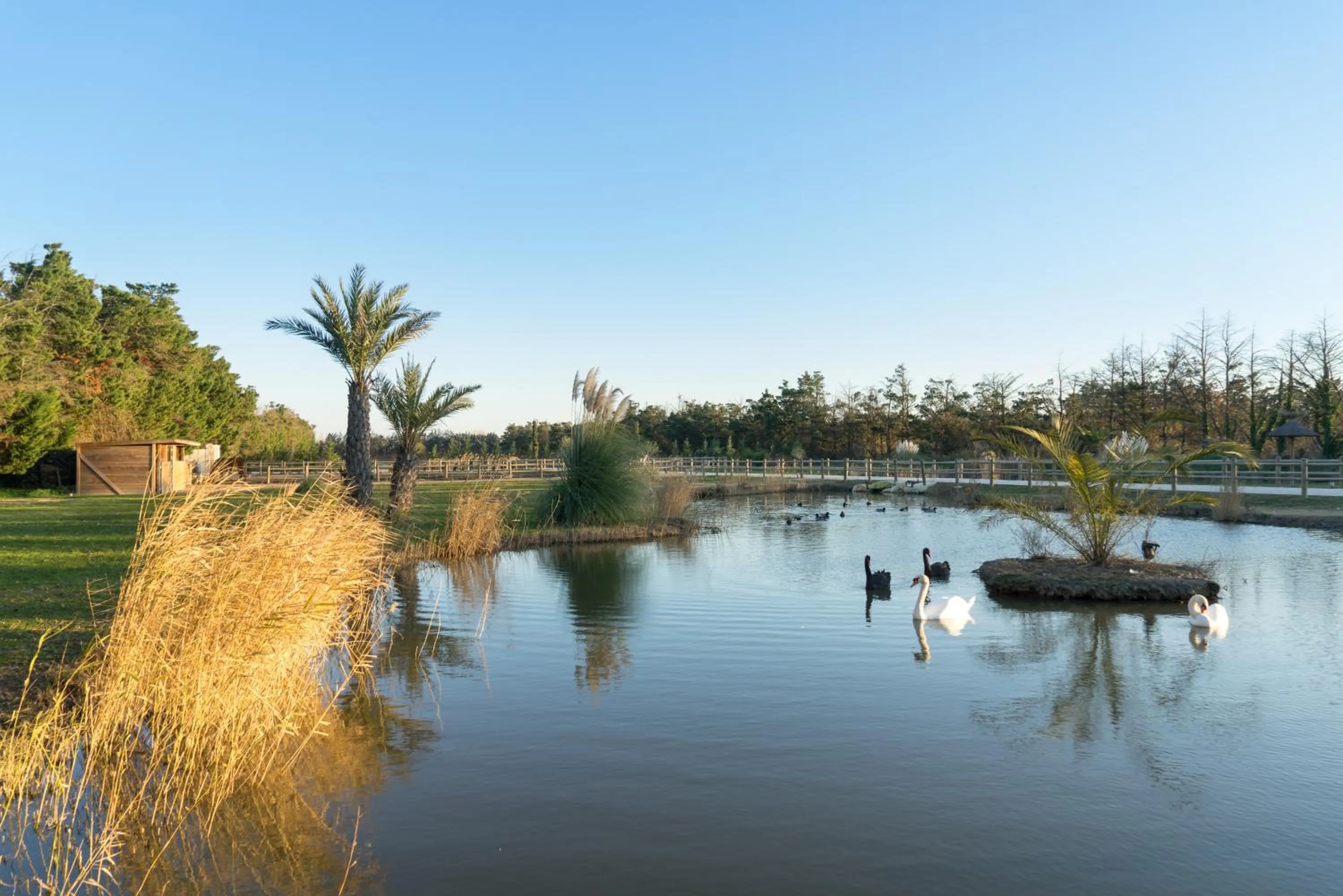 Natural landscape in Abri Cosy - Suite Romantique en Camargue