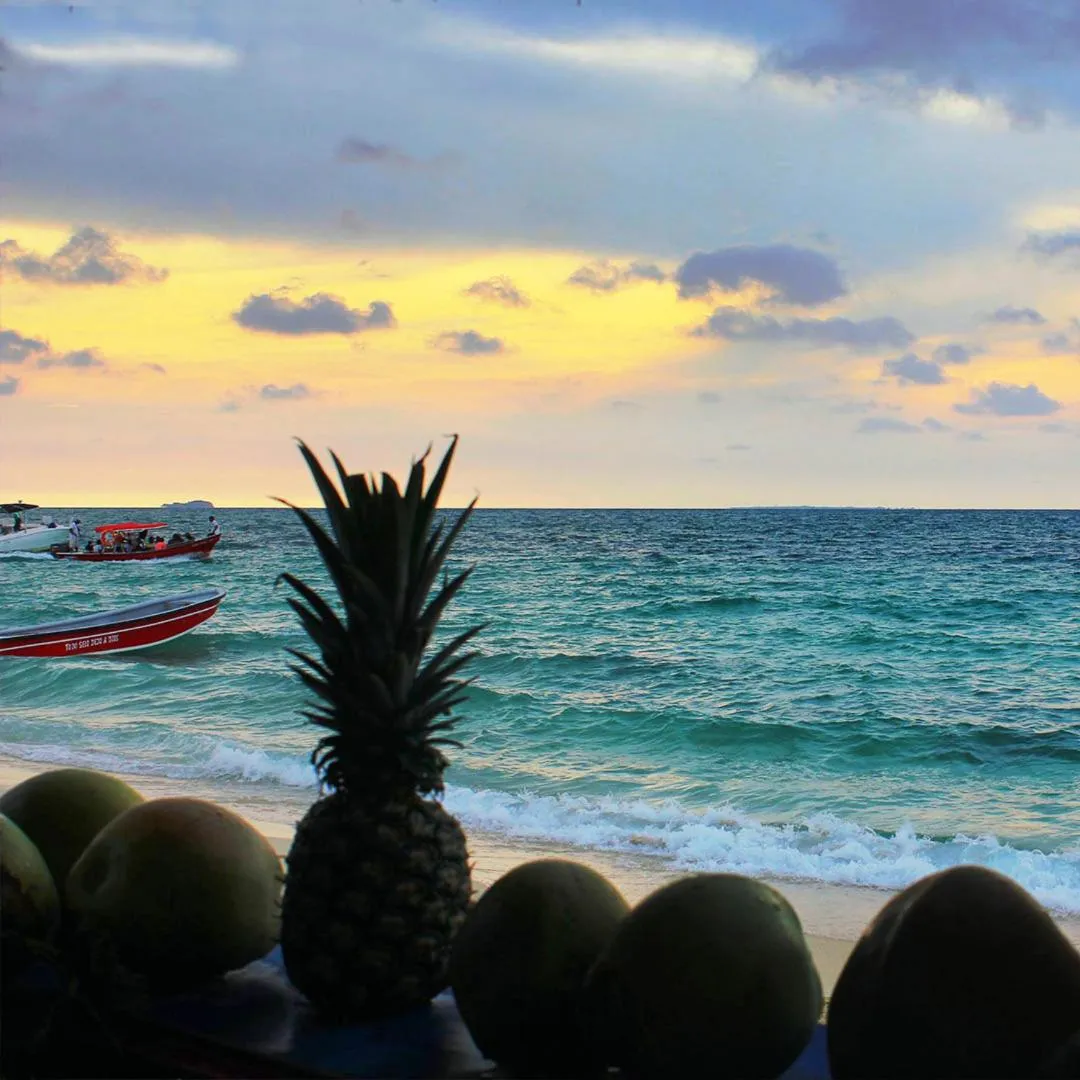 Natural landscape in Pura Vida Baru - La Casa del Cholo