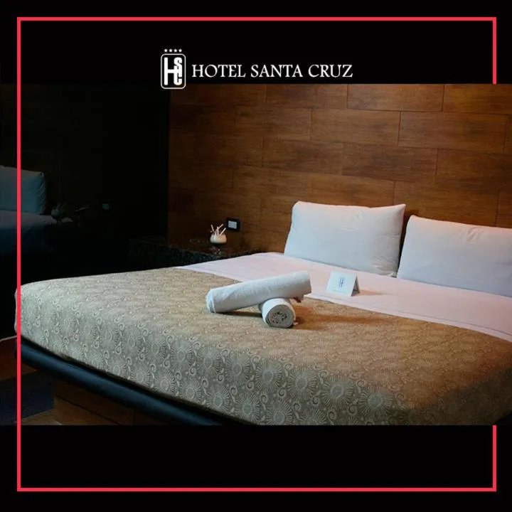 Superior King Room in Hotel Santa Cruz