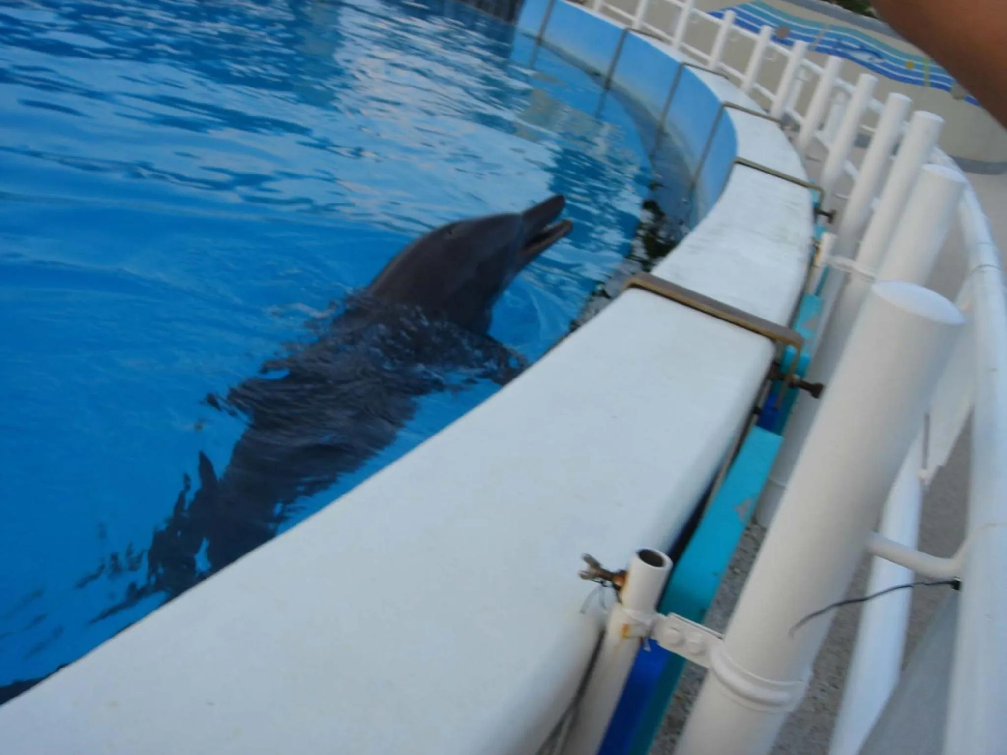 Entertainment in Ocean Front YAMAKAWA