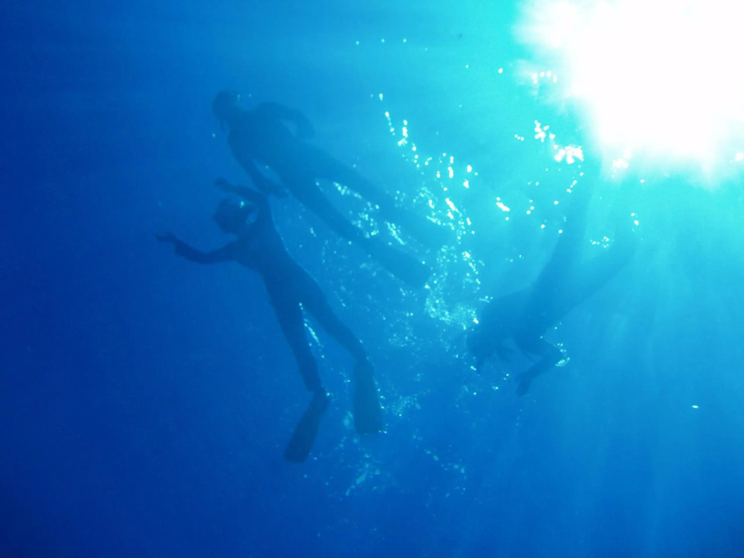 Diving in Ocean Front YAMAKAWA