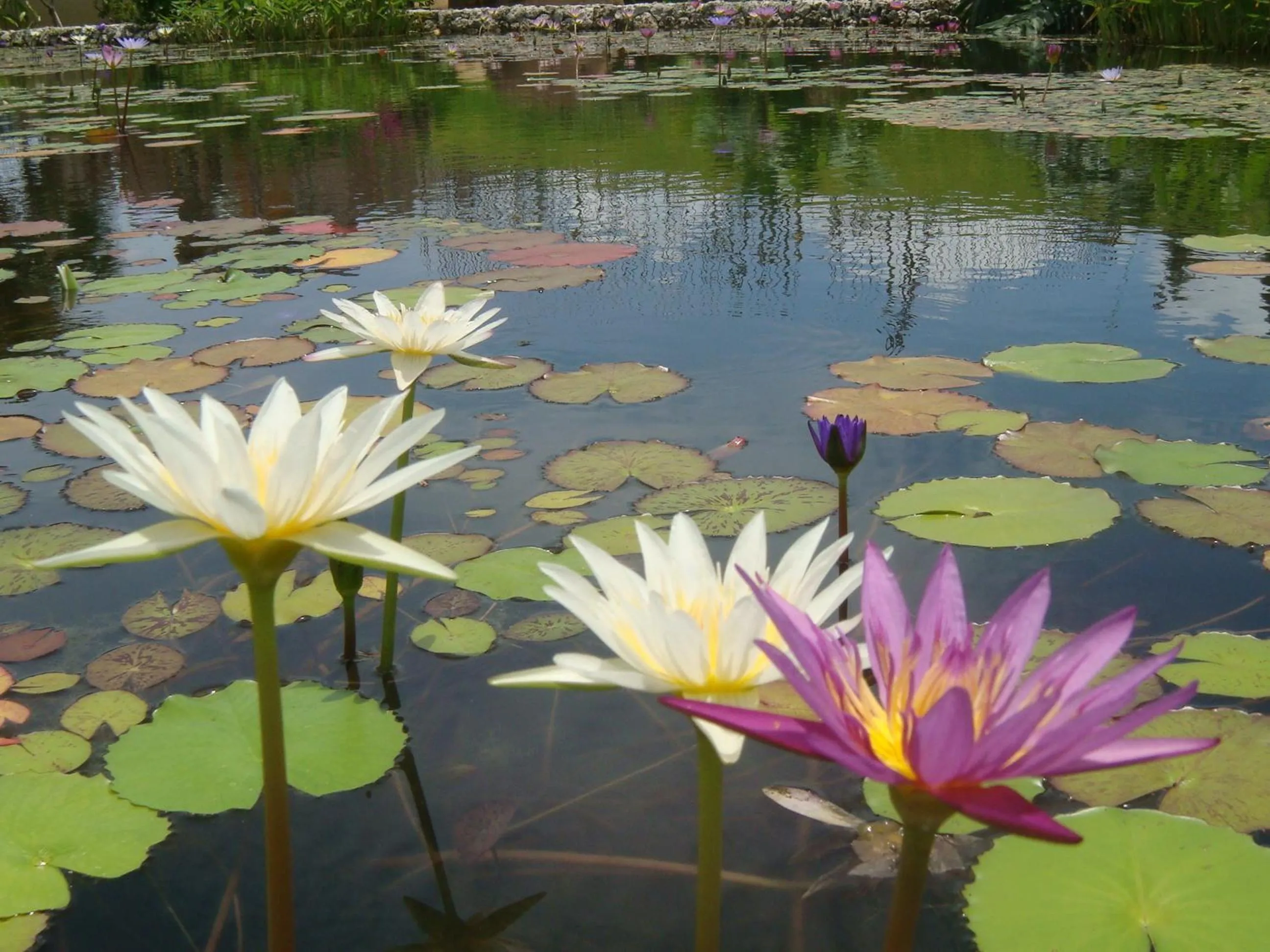 Off site in Ocean Front YAMAKAWA
