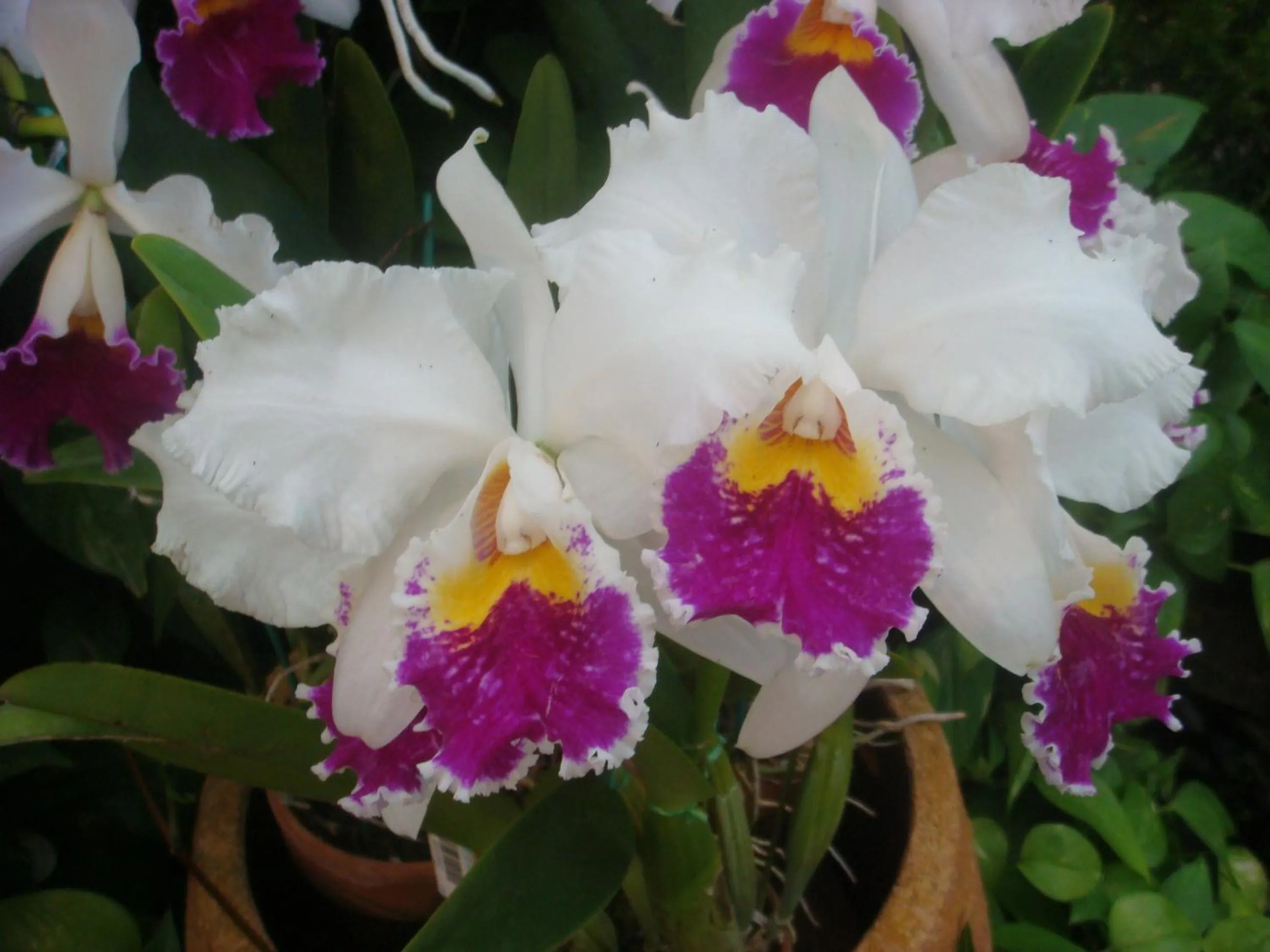 Nearby landmark in Ocean Front YAMAKAWA